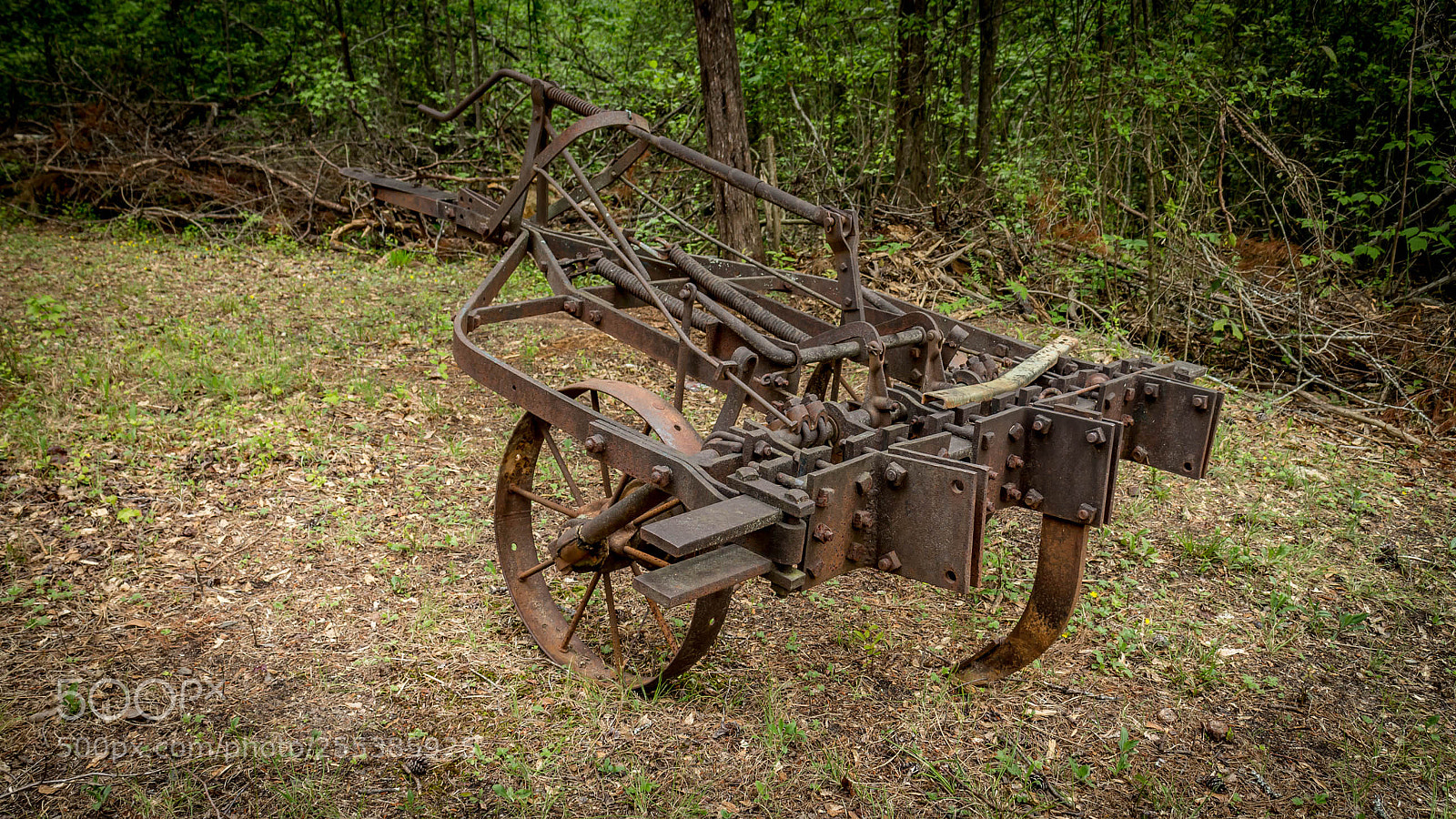 Canon EOS M sample photo. Oconee seneca sc real photography