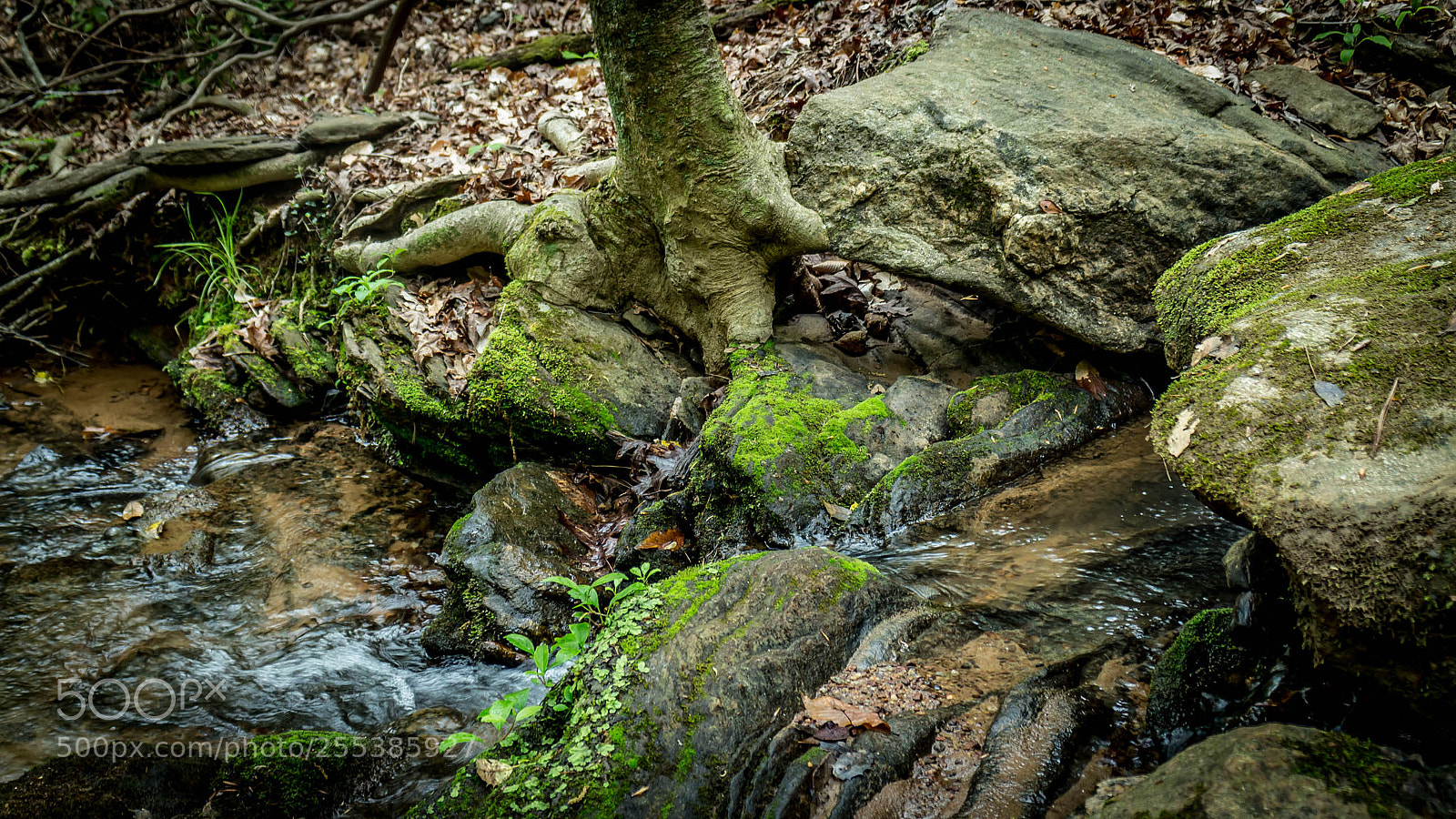 Canon EOS M sample photo. Newry oconee seneca sc photography