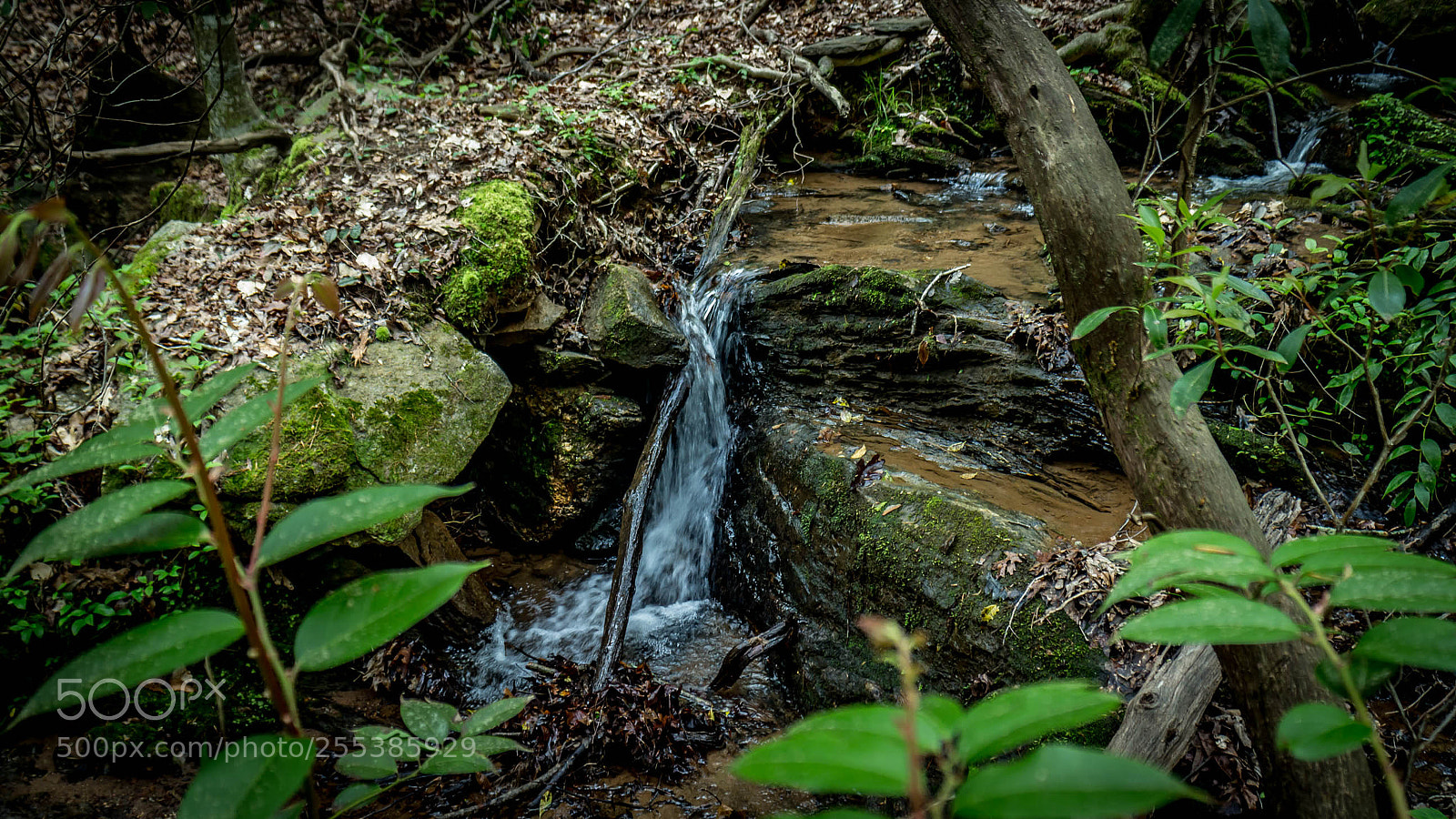 Canon EOS M sample photo. Oconee seneca sc real photography