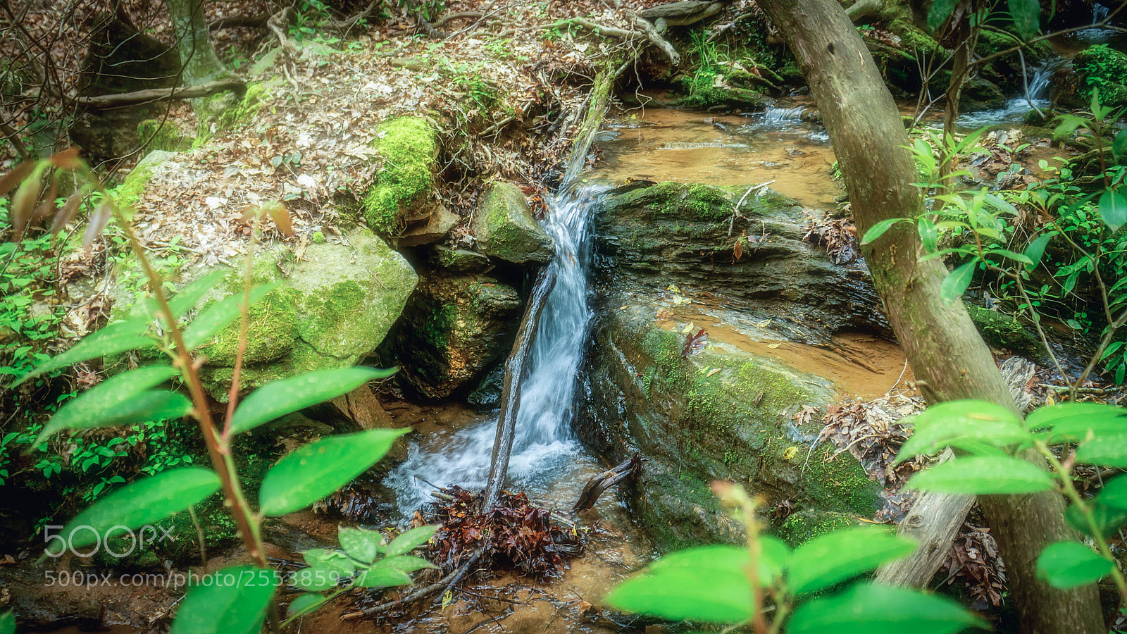Canon EOS M sample photo. Oconee seneca sc real photography