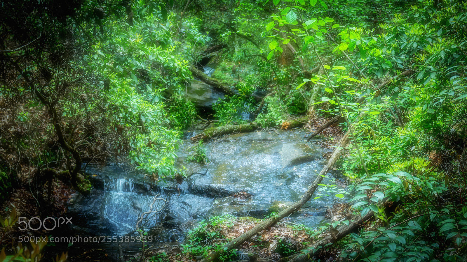 Canon EOS M sample photo. West union oconee seneca photography