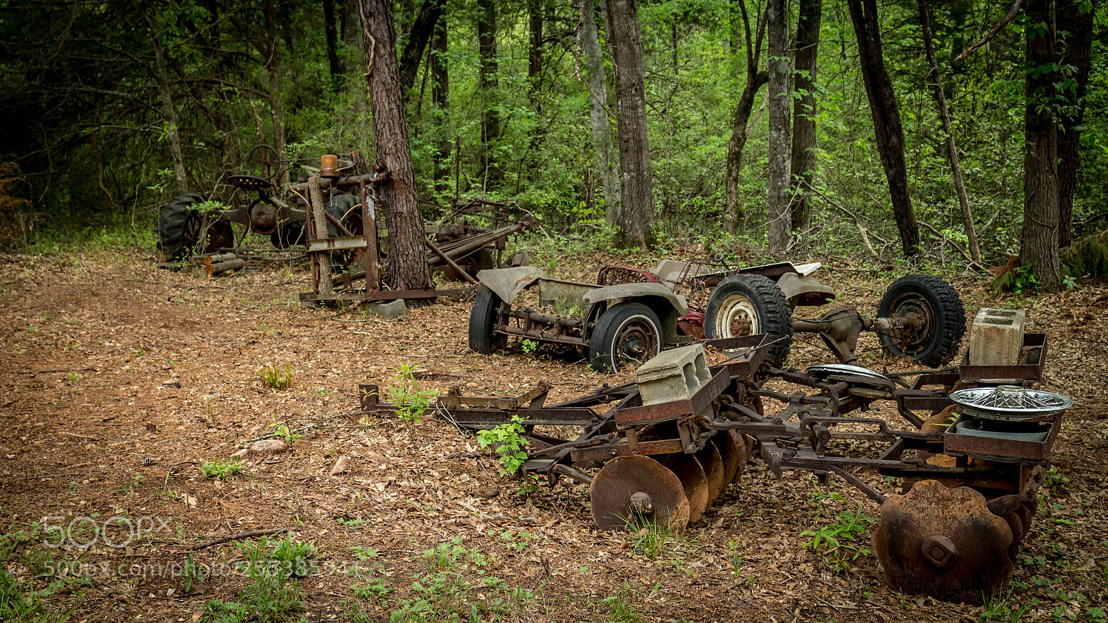 Canon EOS M sample photo. Clemson oconee seneca sc photography