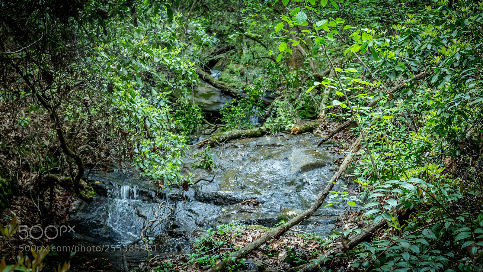 Canon EOS M sample photo. Oconee seneca sc real photography