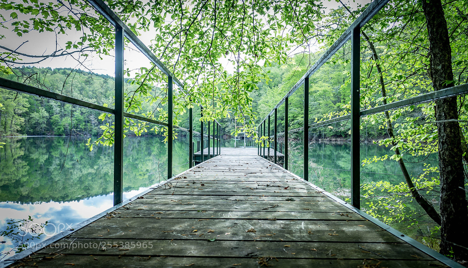 Canon EOS M sample photo. Oconee seneca sc real photography