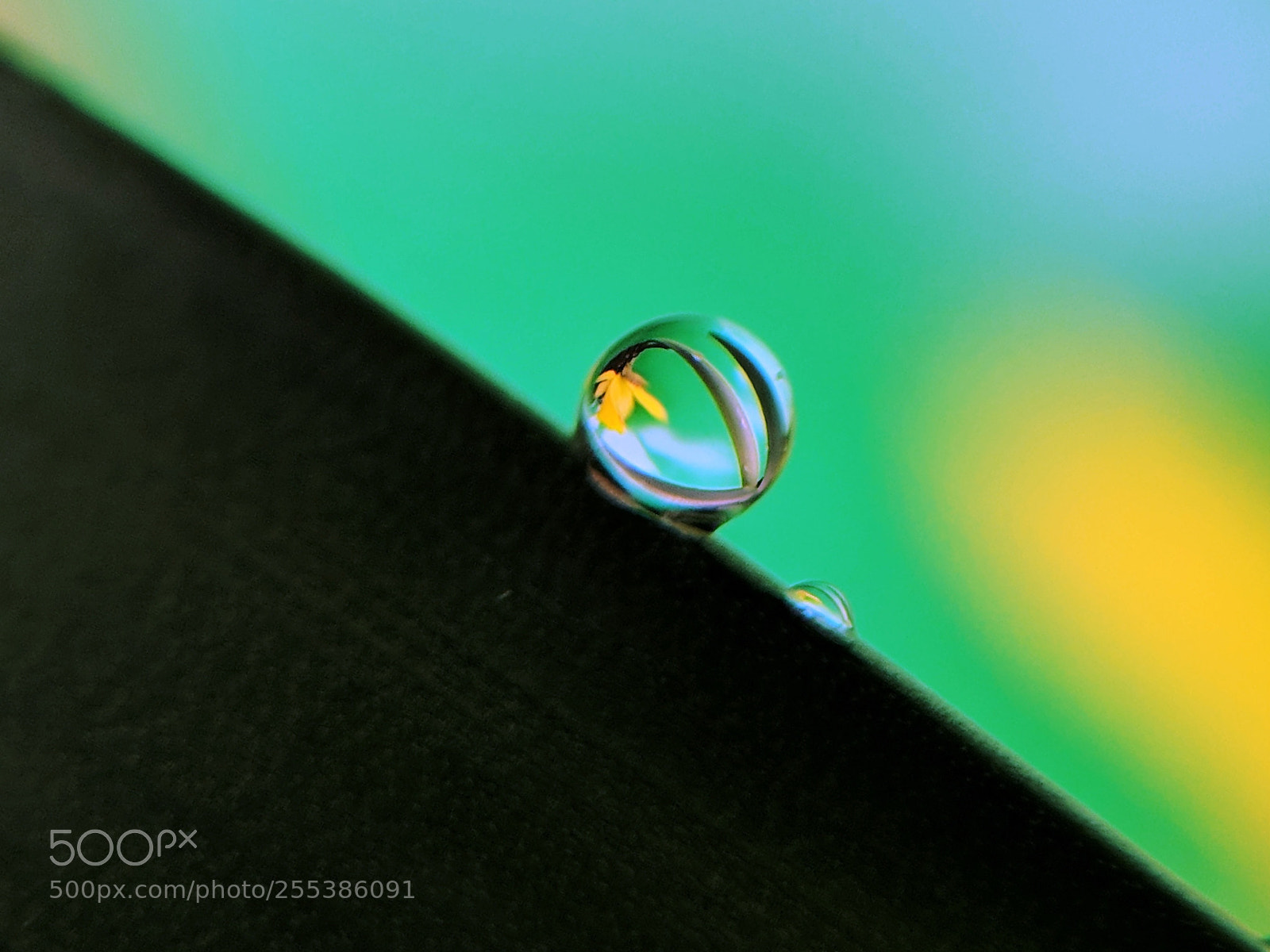 Google Pixel XL sample photo. Water drop photography