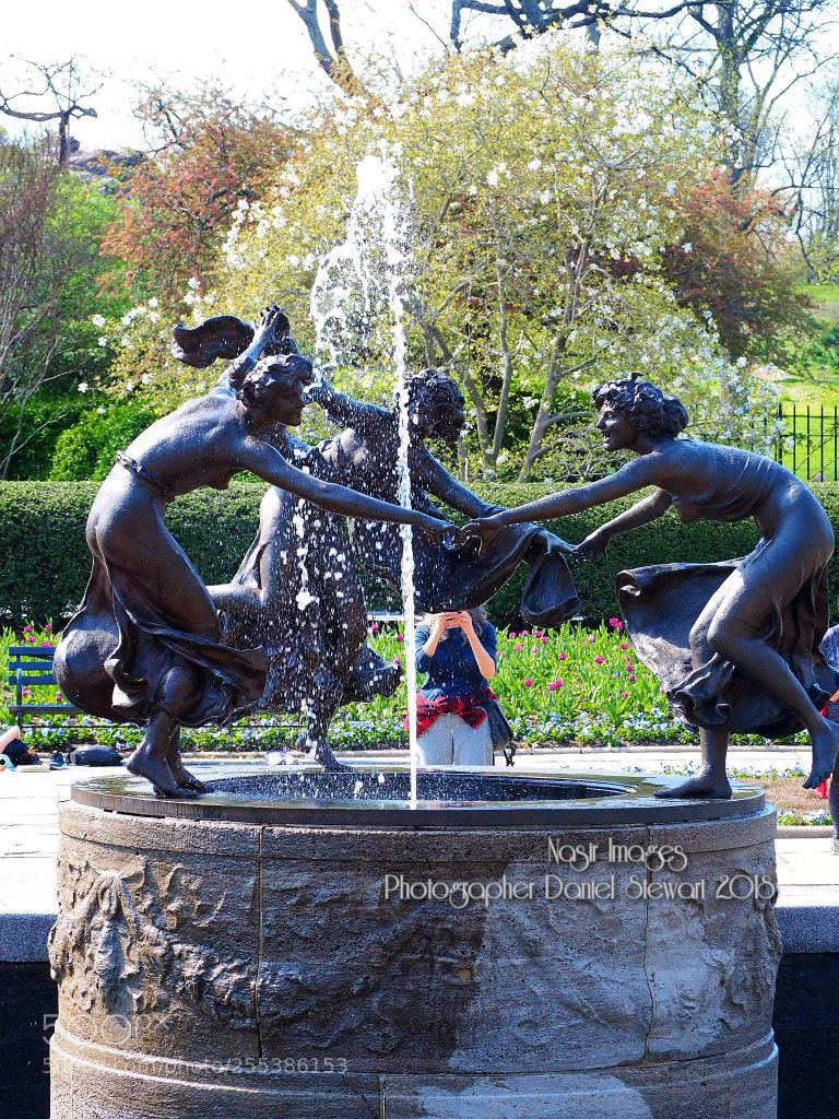 Olympus OM-D E-M10 II sample photo. Untitled photography