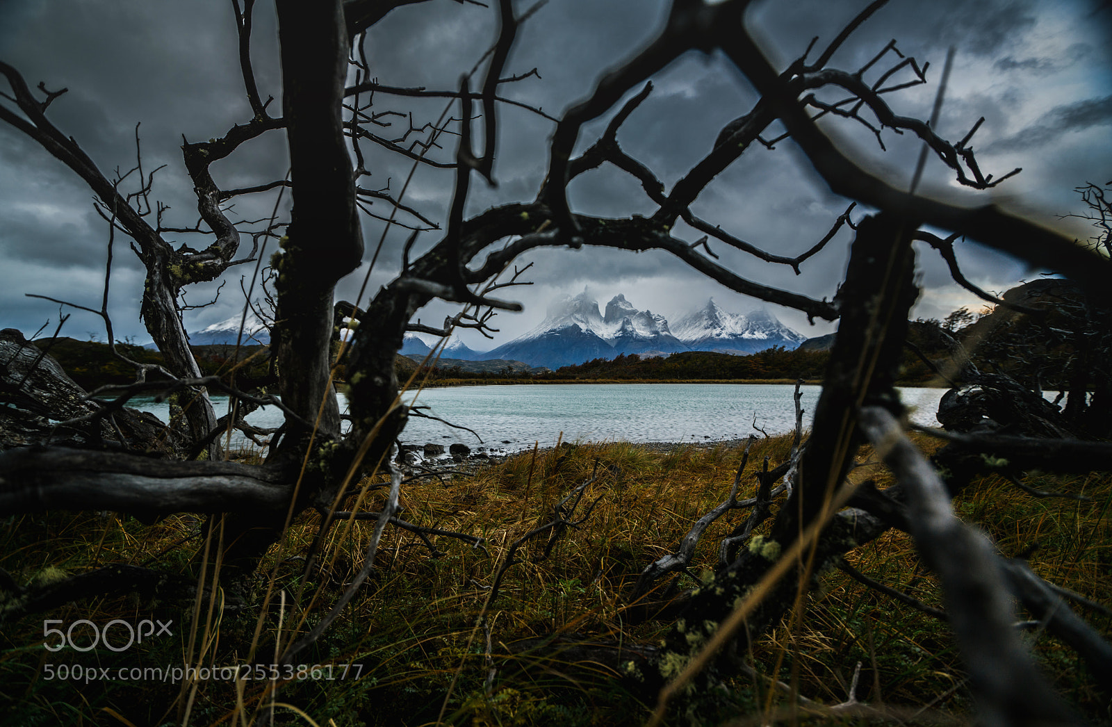 Sony a7R II sample photo. View of torres mountains photography