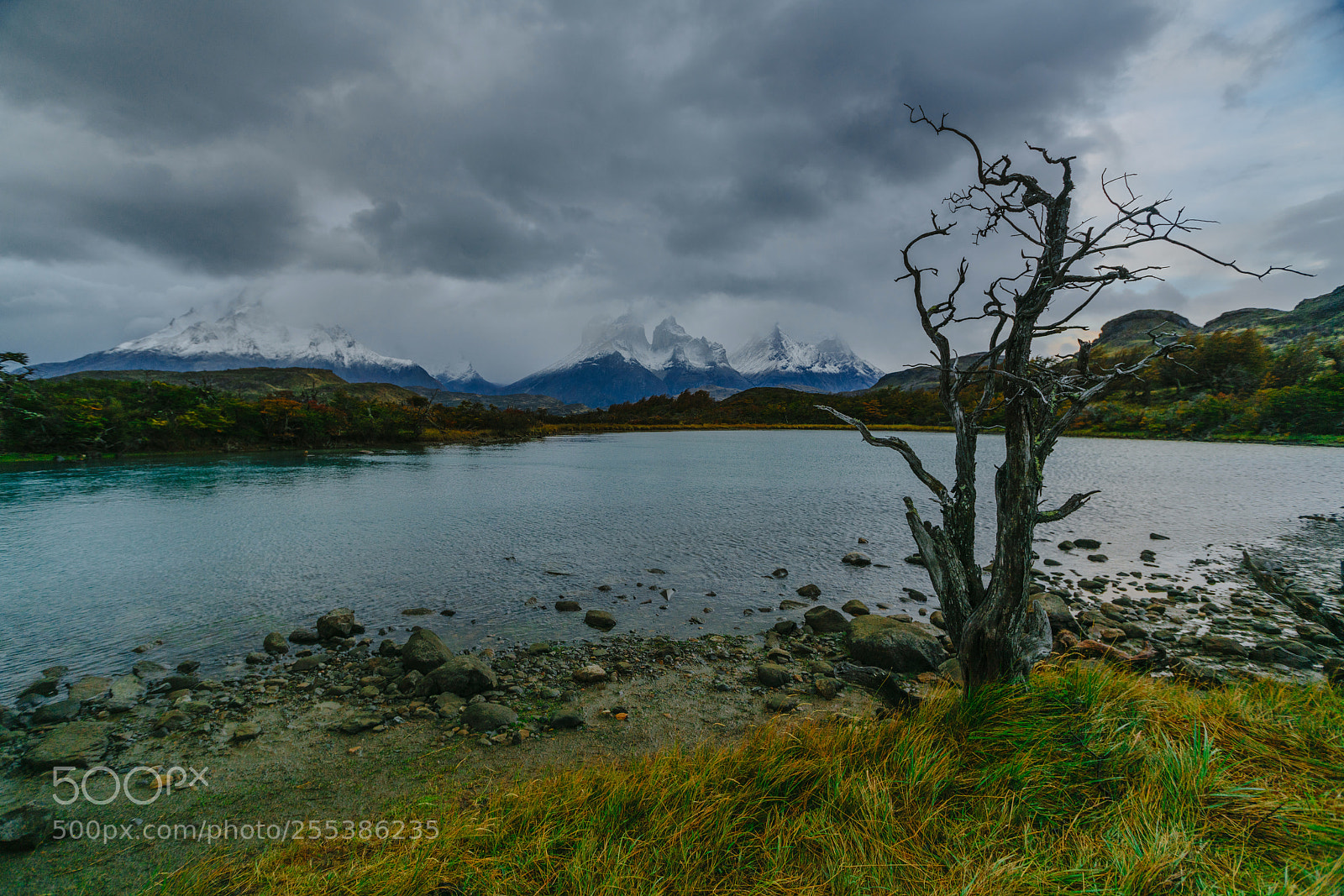 Sony a7R II sample photo. View of torres mountains photography
