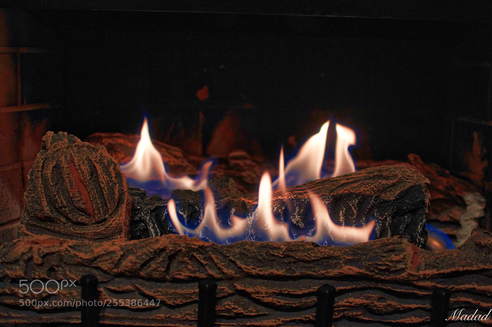 Nikon D90 sample photo. Untitled photography