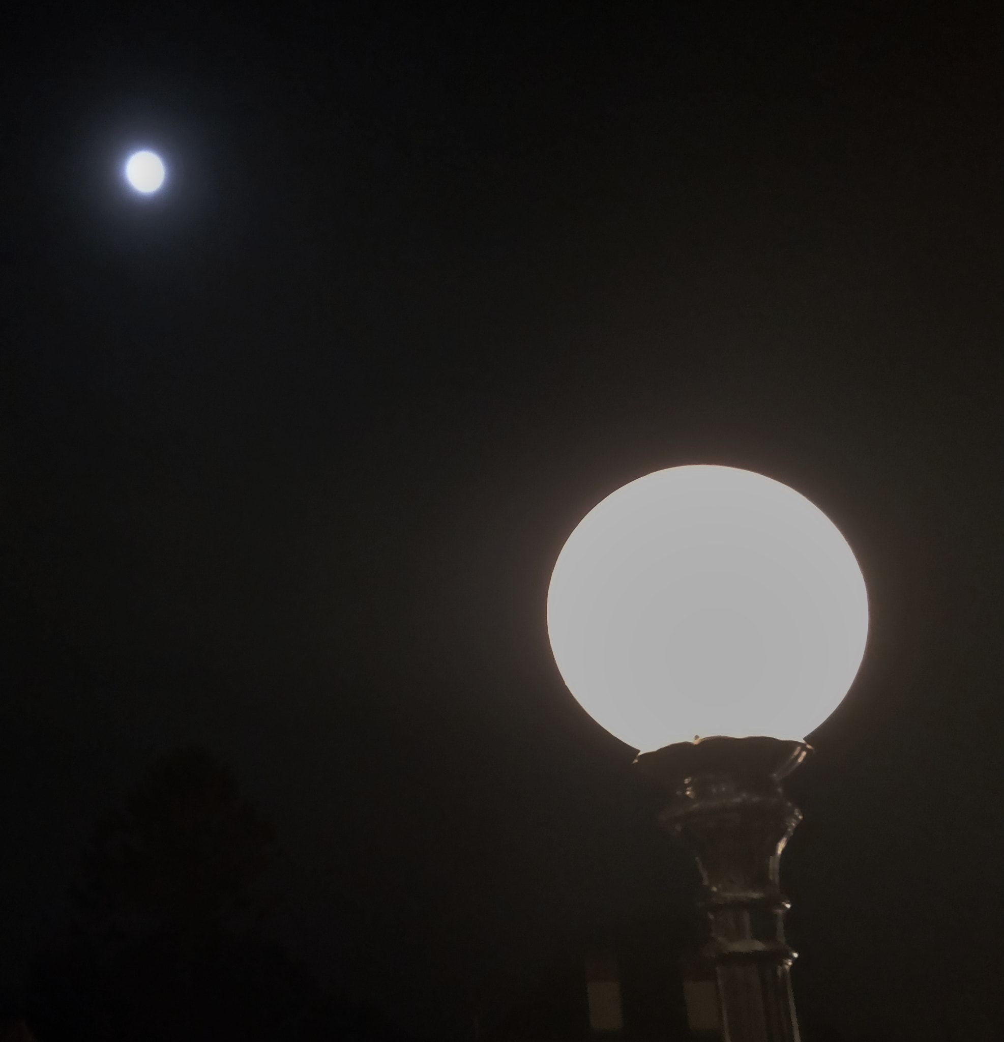 OPPO R11 sample photo. Moon night photography