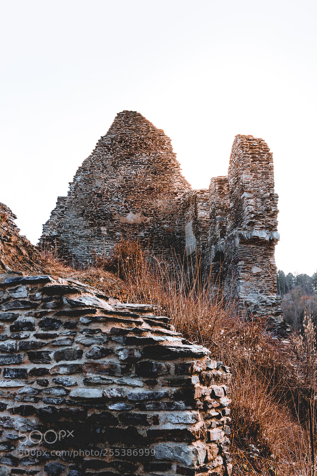 Canon EOS 700D (EOS Rebel T5i / EOS Kiss X7i) sample photo. Castle photography