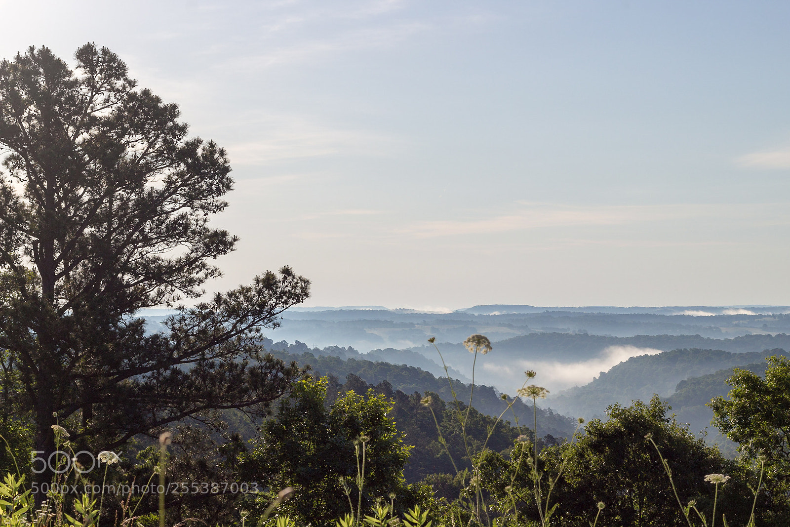 Canon EOS 100D (EOS Rebel SL1 / EOS Kiss X7) sample photo. Ozark mountains and mist photography