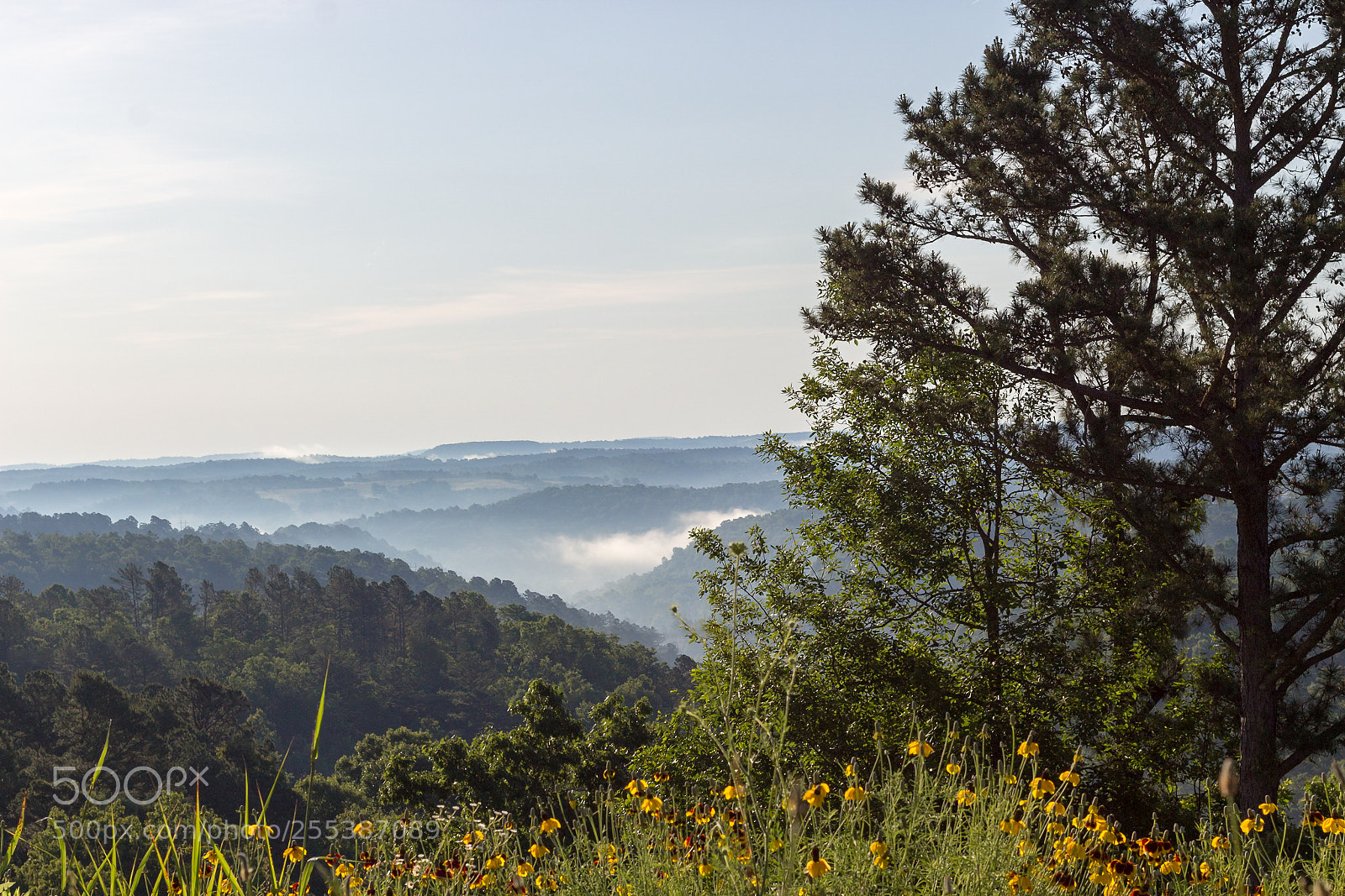 Canon EOS 100D (EOS Rebel SL1 / EOS Kiss X7) sample photo. Ozark mountains and mist photography