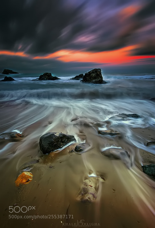 Nikon D600 sample photo. Wave-motion photography