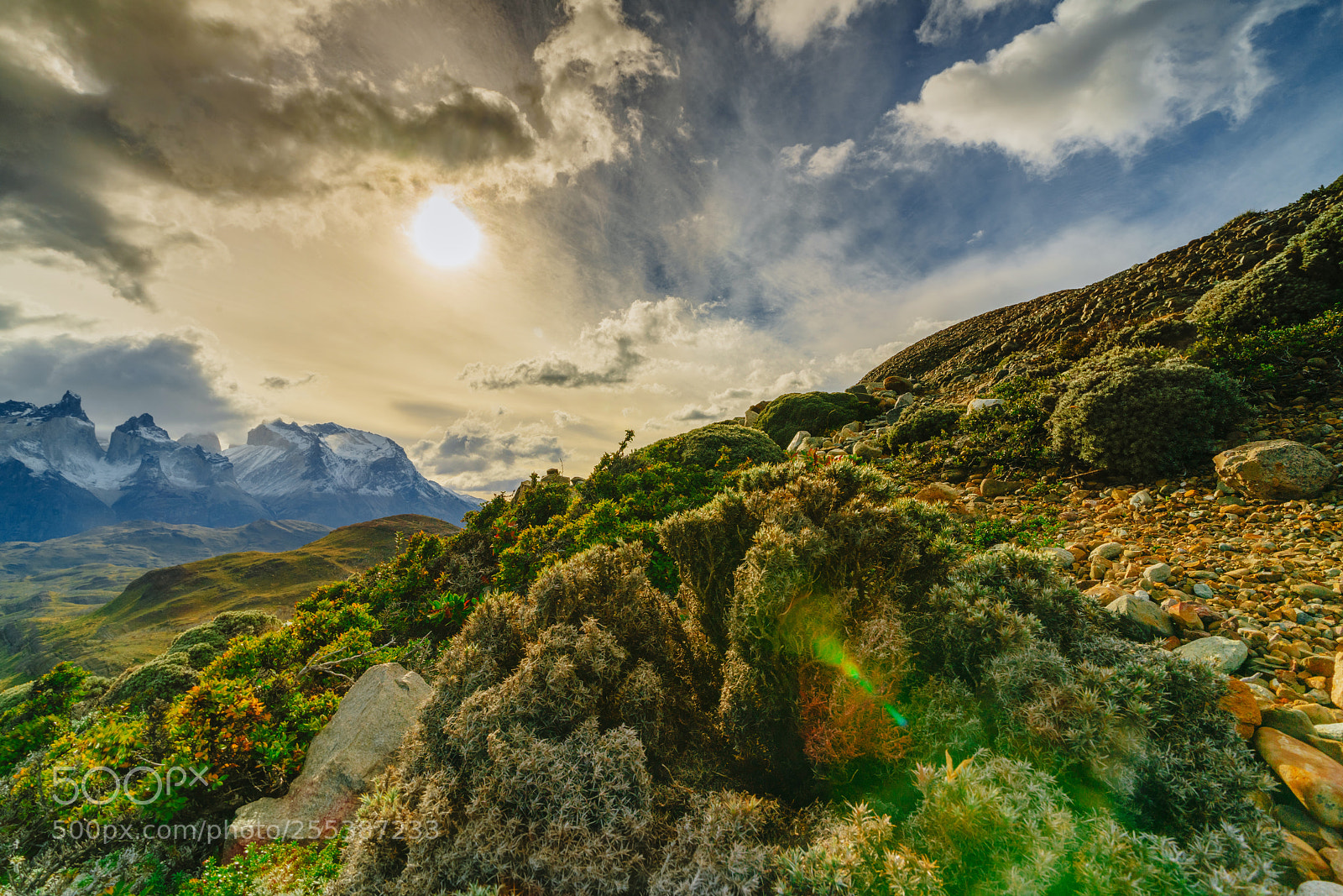 Sony a7R II sample photo. View of torres mountains photography
