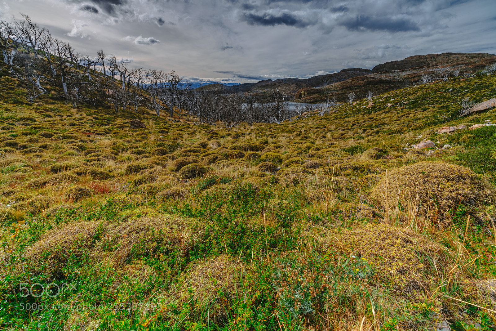 Sony a7R II sample photo. View of the valley photography