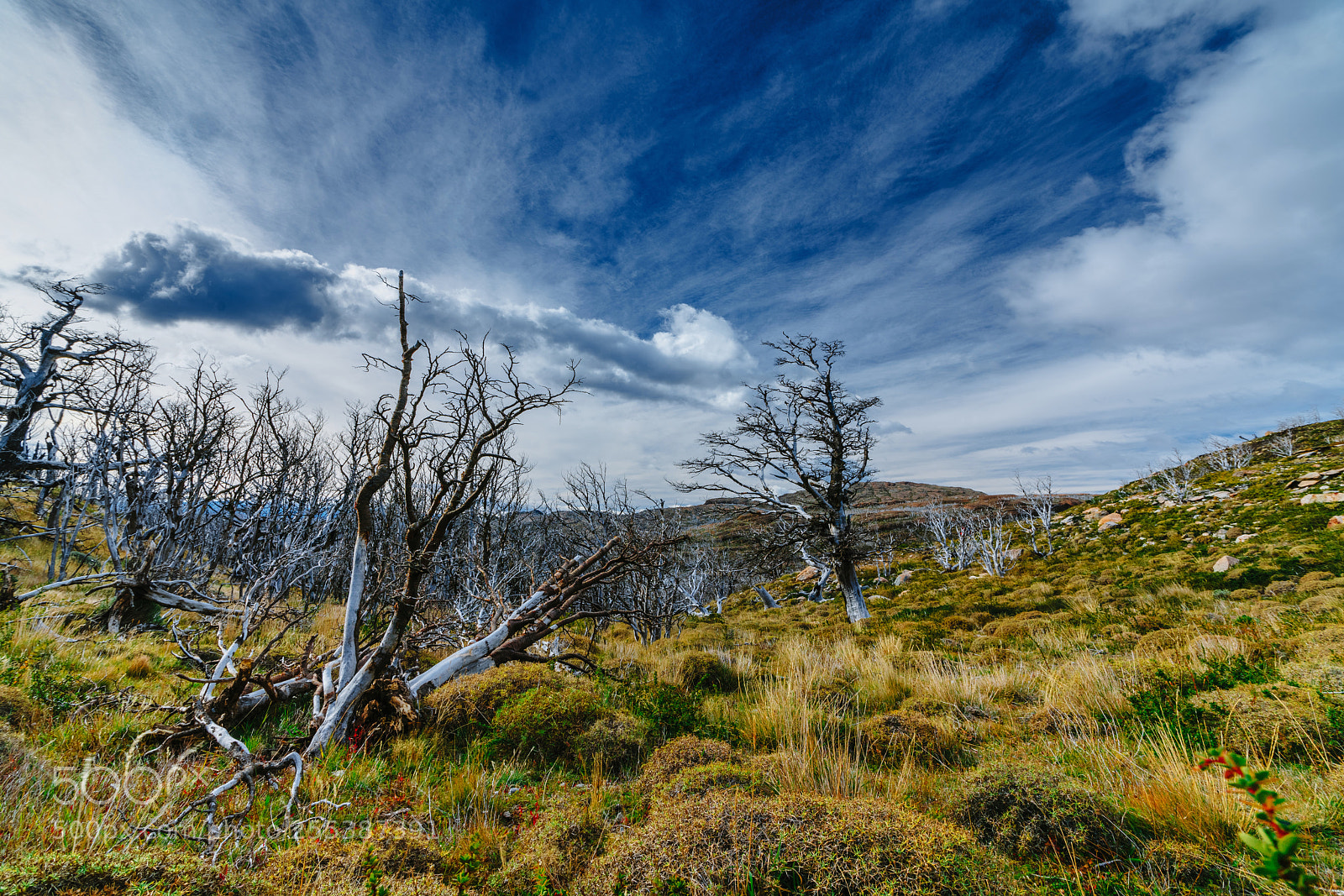 Sony a7R II sample photo. View of the valley photography