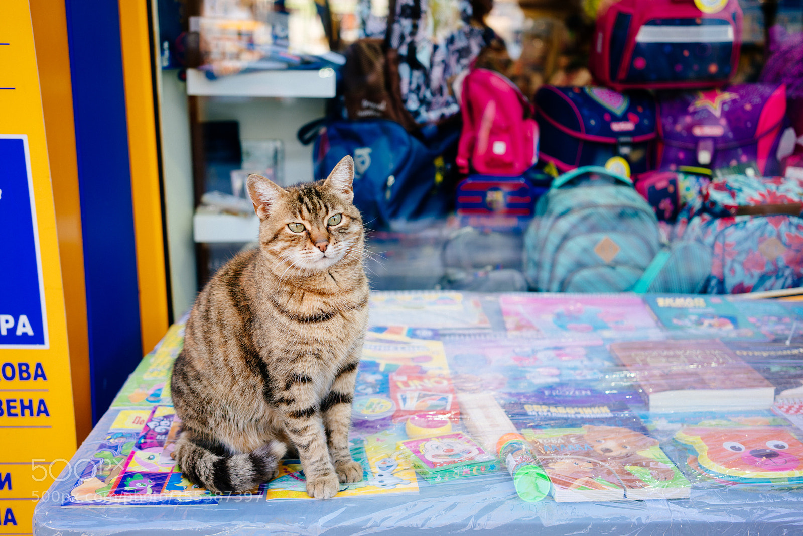 Sony a7R II sample photo. Un marchat photography