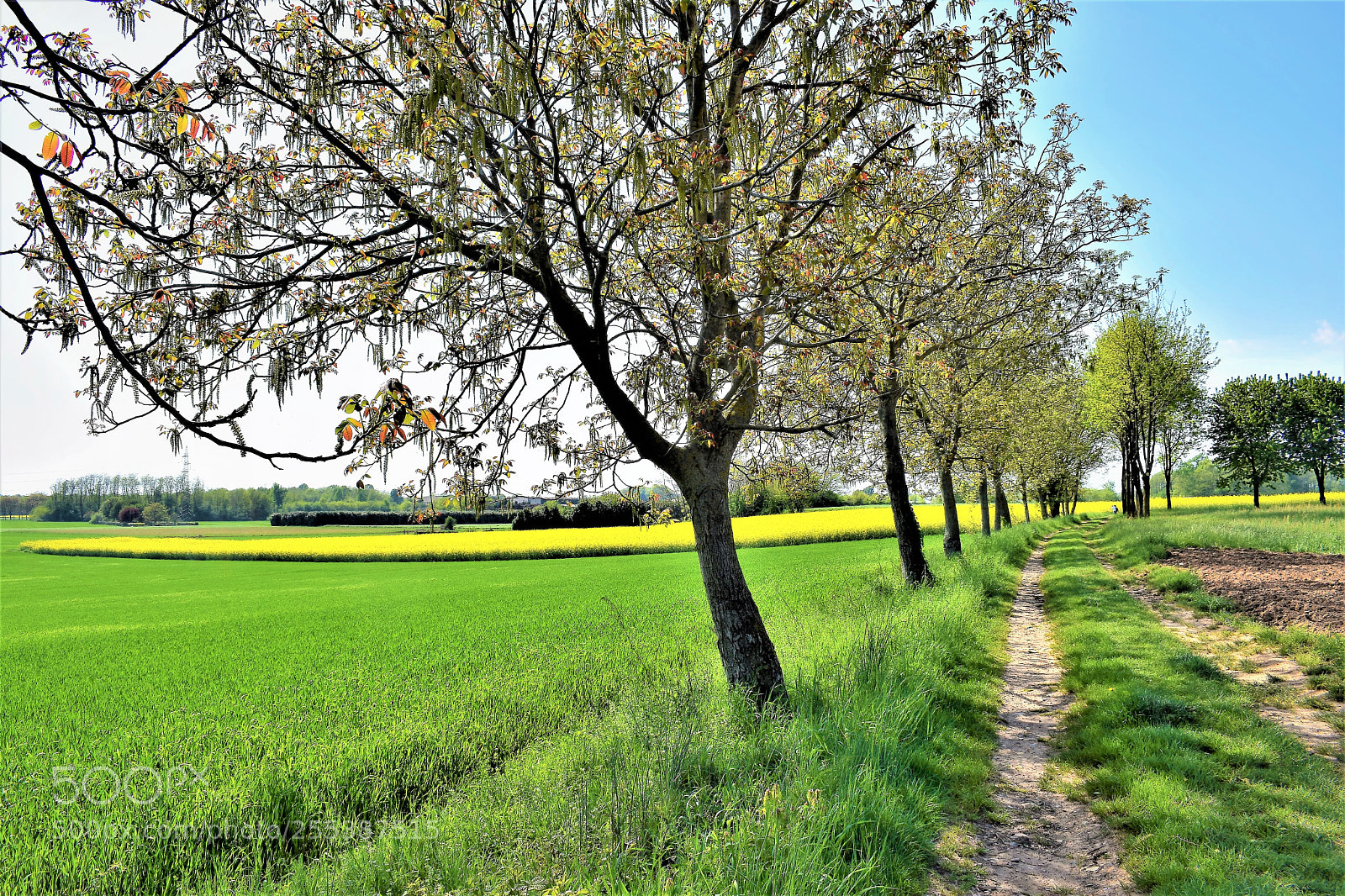 Nikon D3400 sample photo. Dsc photography