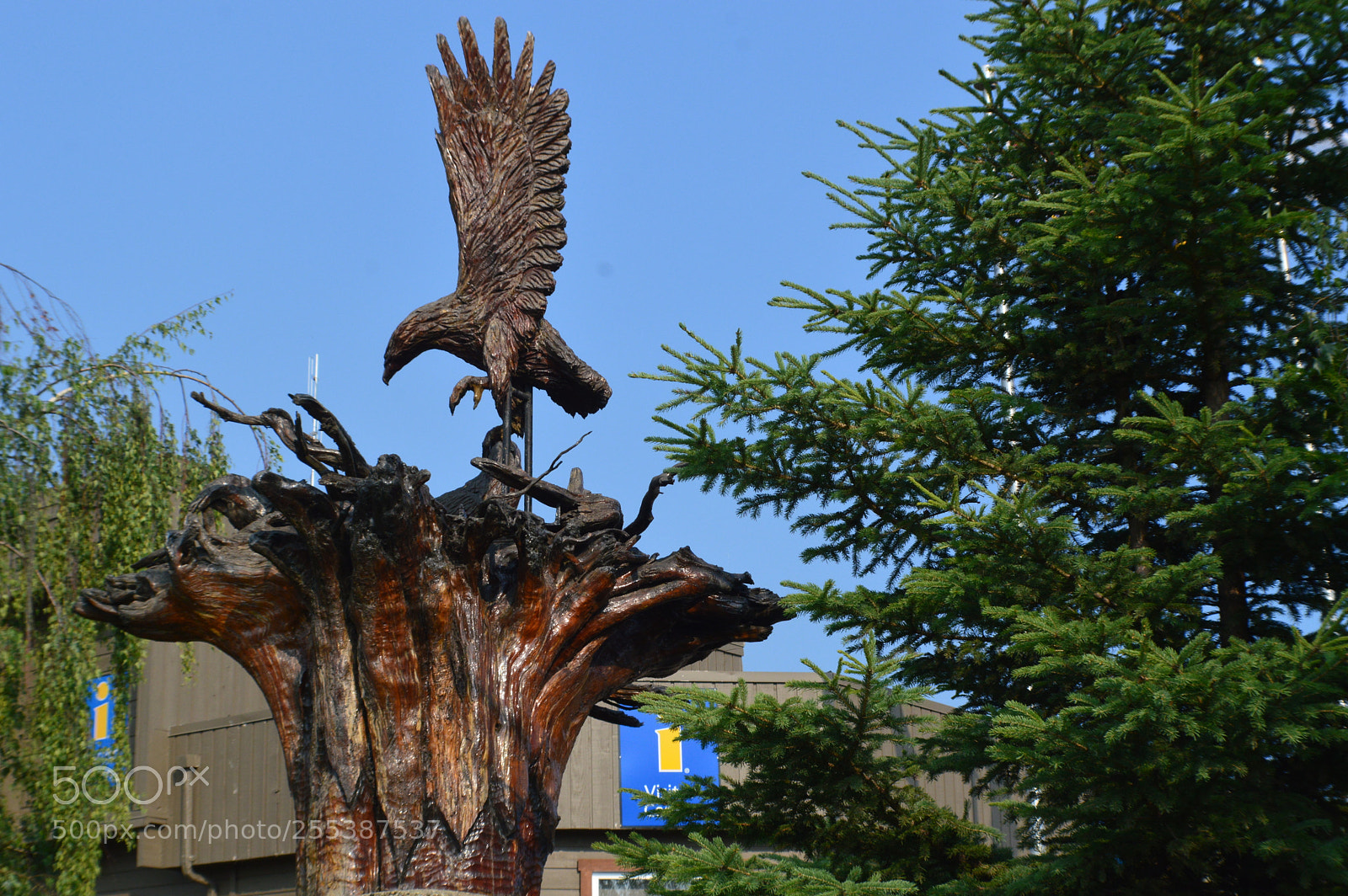 Nikon D3200 sample photo. Chetwyn b c photography