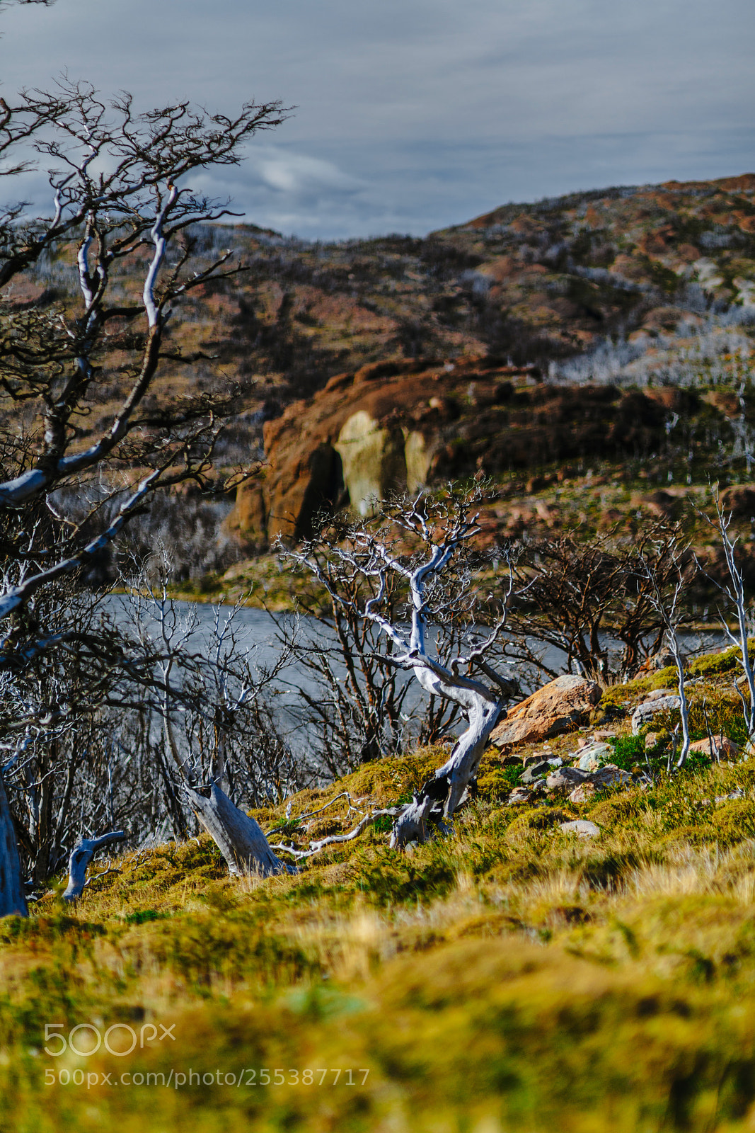 Sony a7R II sample photo. View of the valley photography