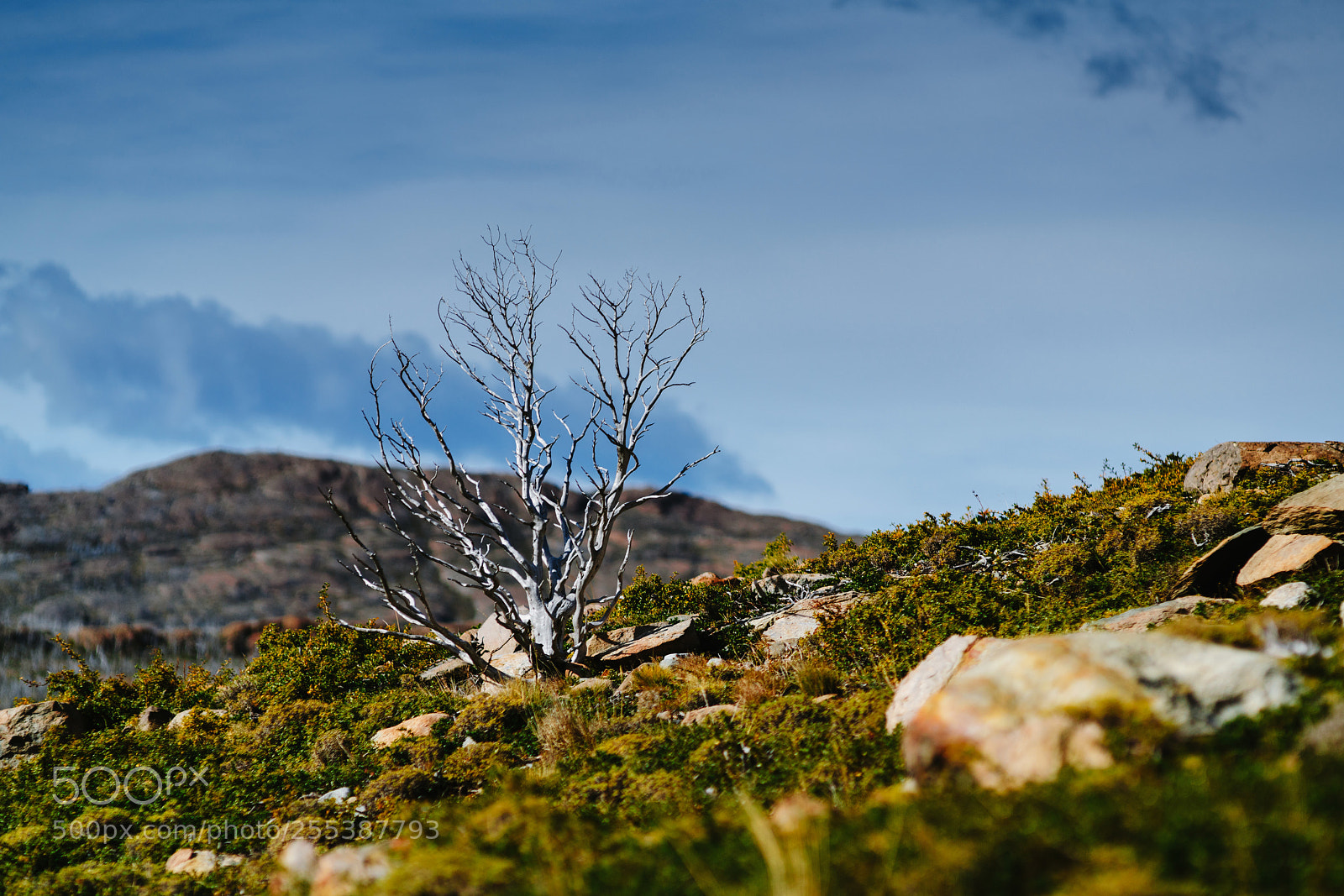 Sony a7R II sample photo. View of the valley photography