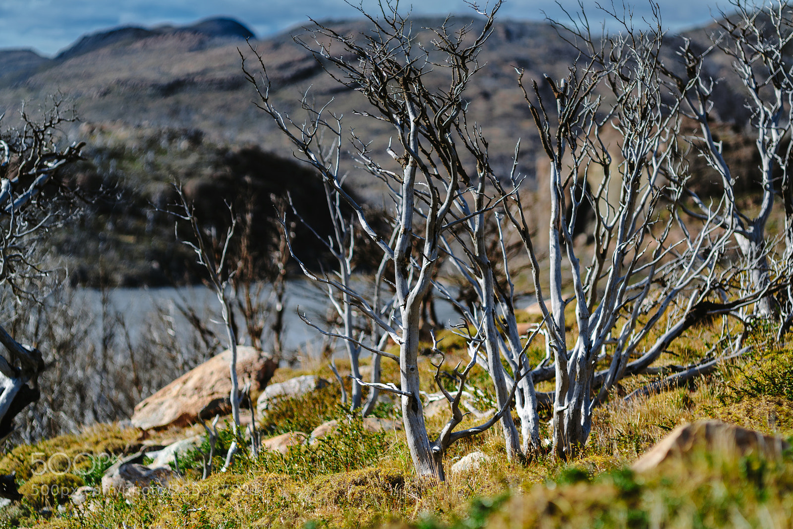 Sony a7R II sample photo. View of the valley photography