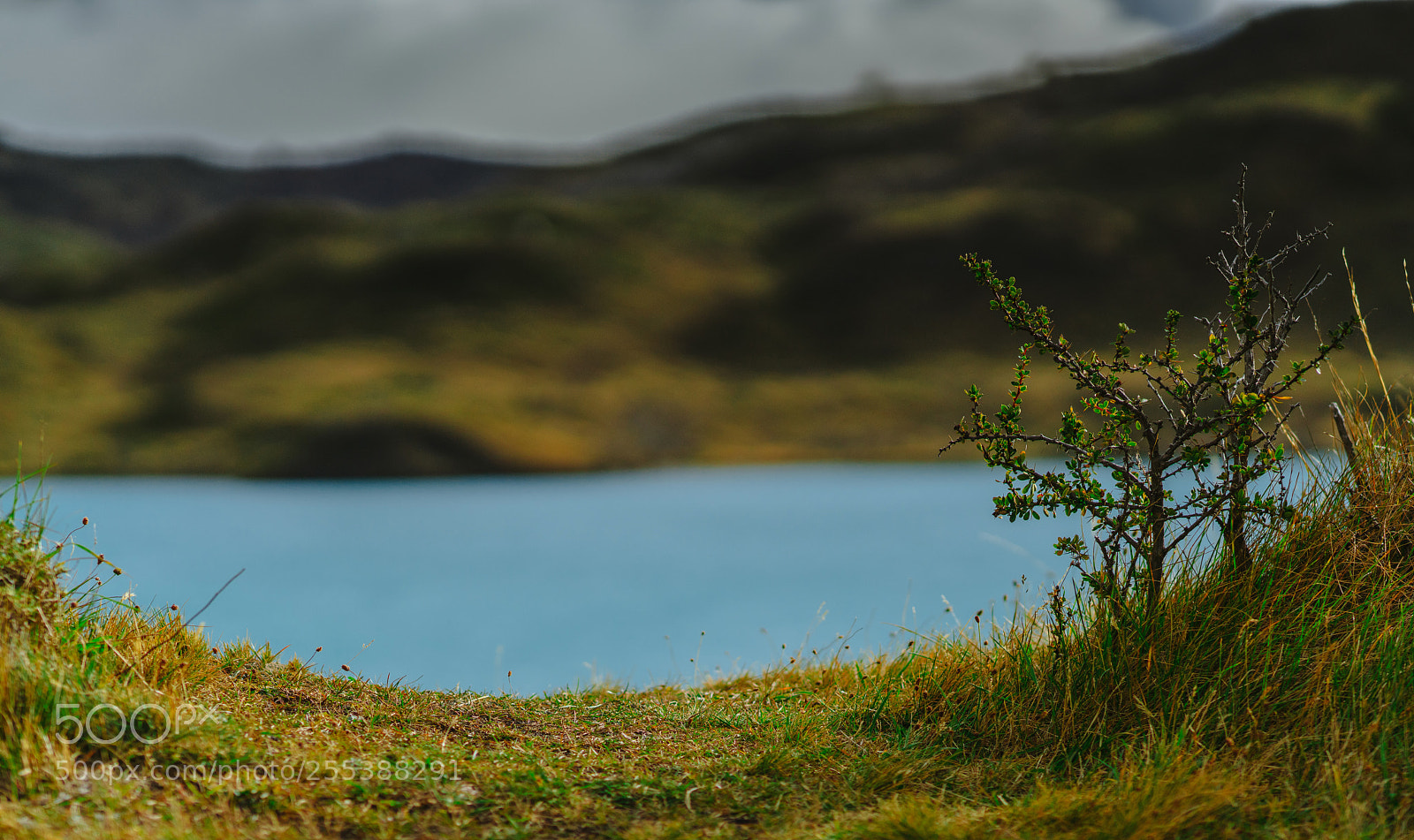 Sony a7R II sample photo. View of the lake photography