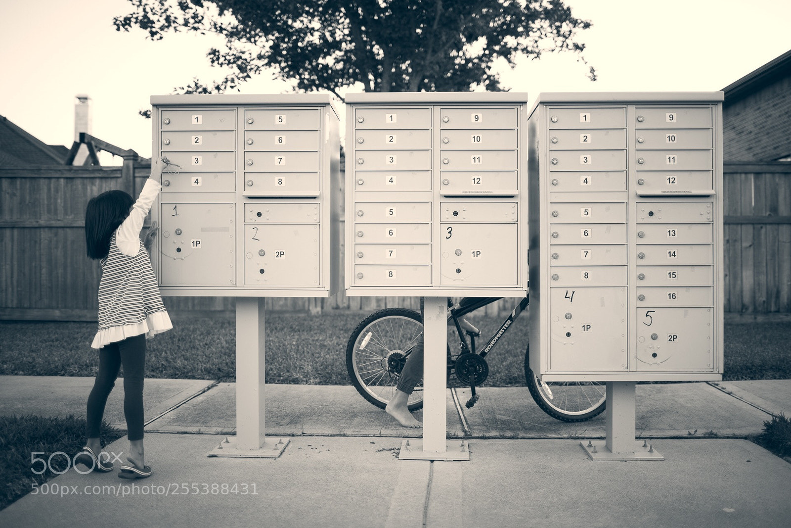 Canon EOS 6D sample photo. Getting mail photography