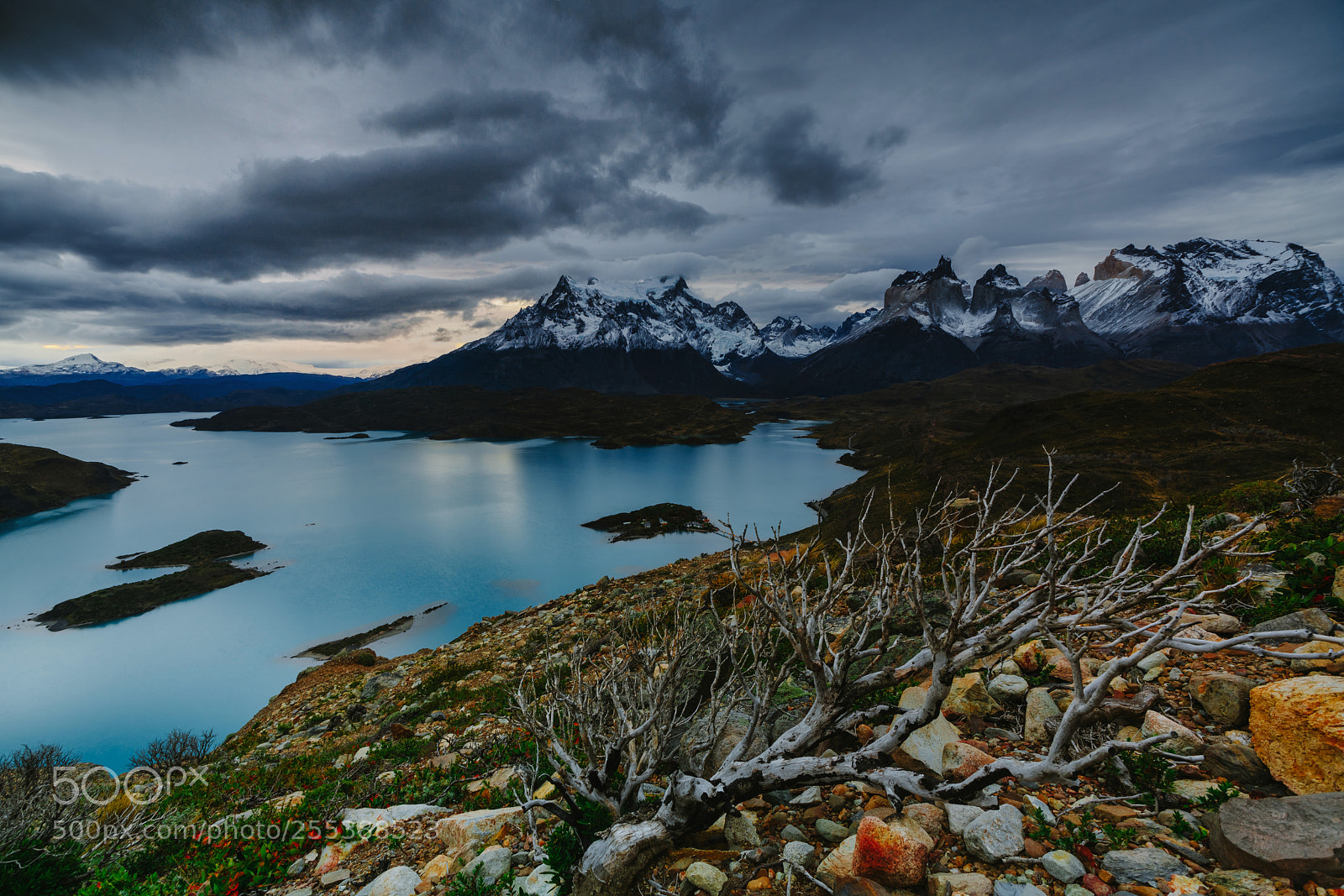 Sony a7R II sample photo. A view of the photography