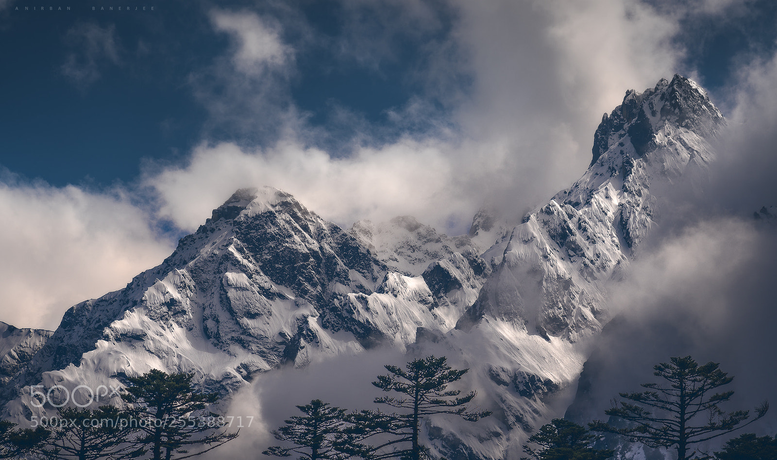 Sony a7R III sample photo. Born in winter photography