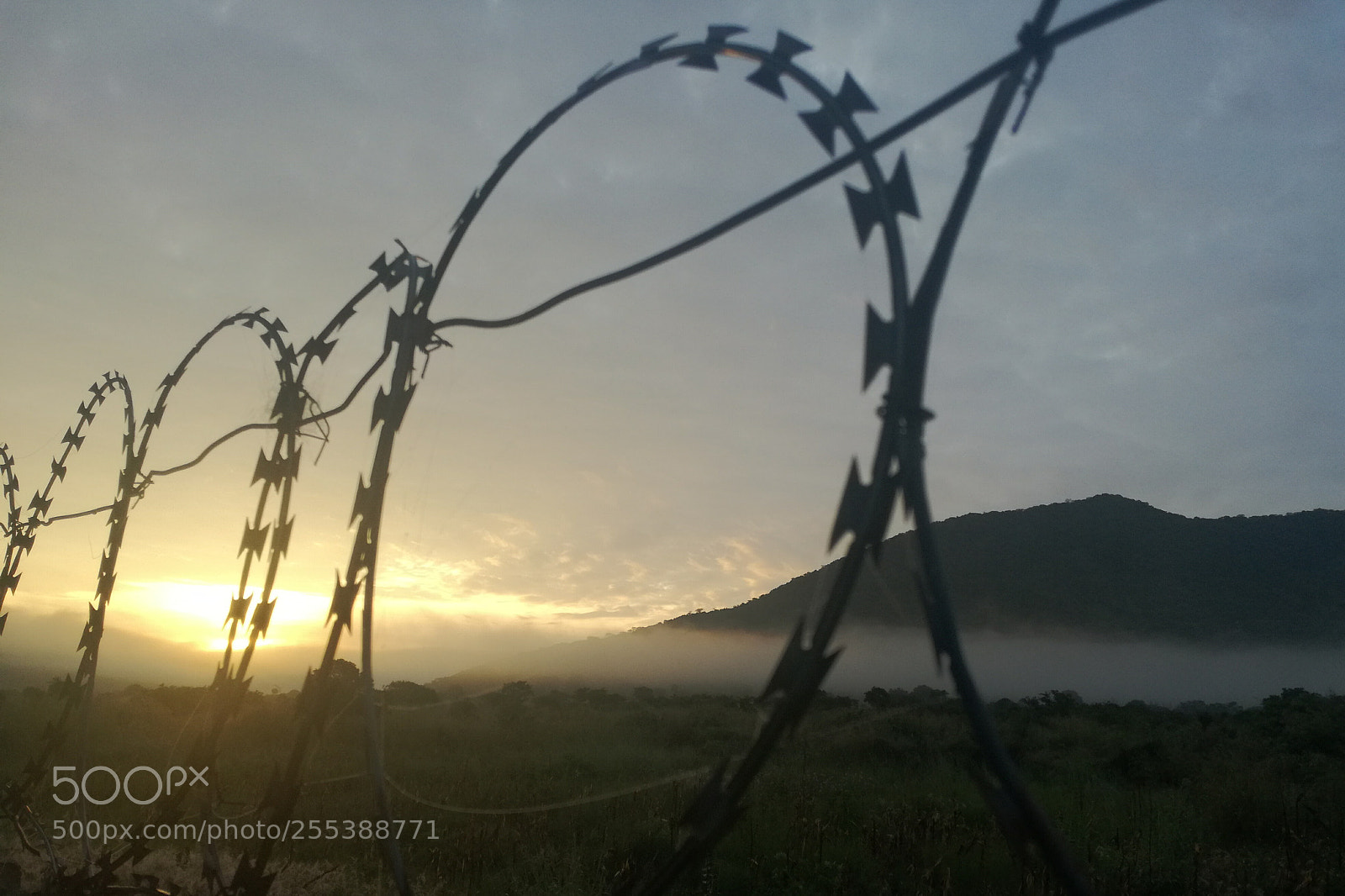 HUAWEI P9 LITE sample photo. Untitled photography