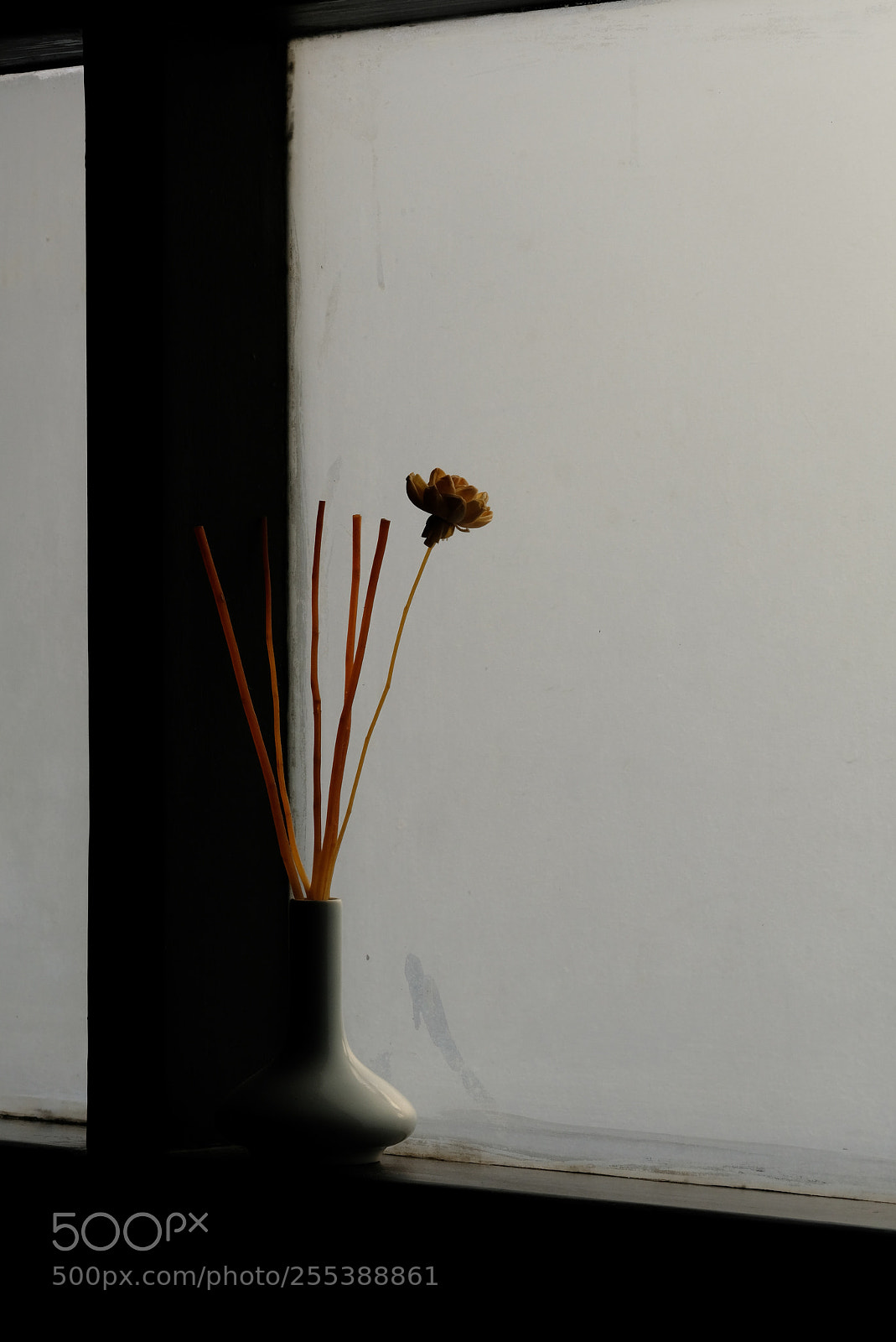 Fujifilm X-T20 sample photo. Incense photography