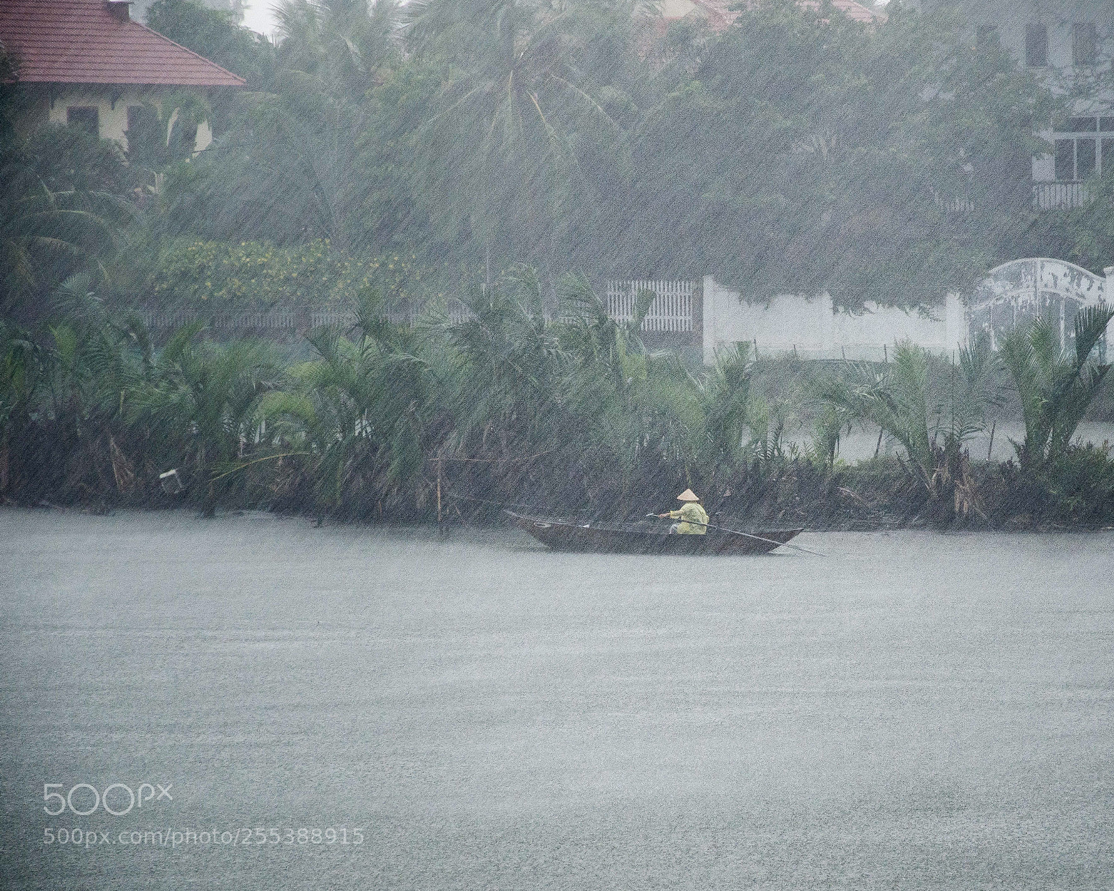 Nikon D7000 sample photo. Lost in the rain. photography