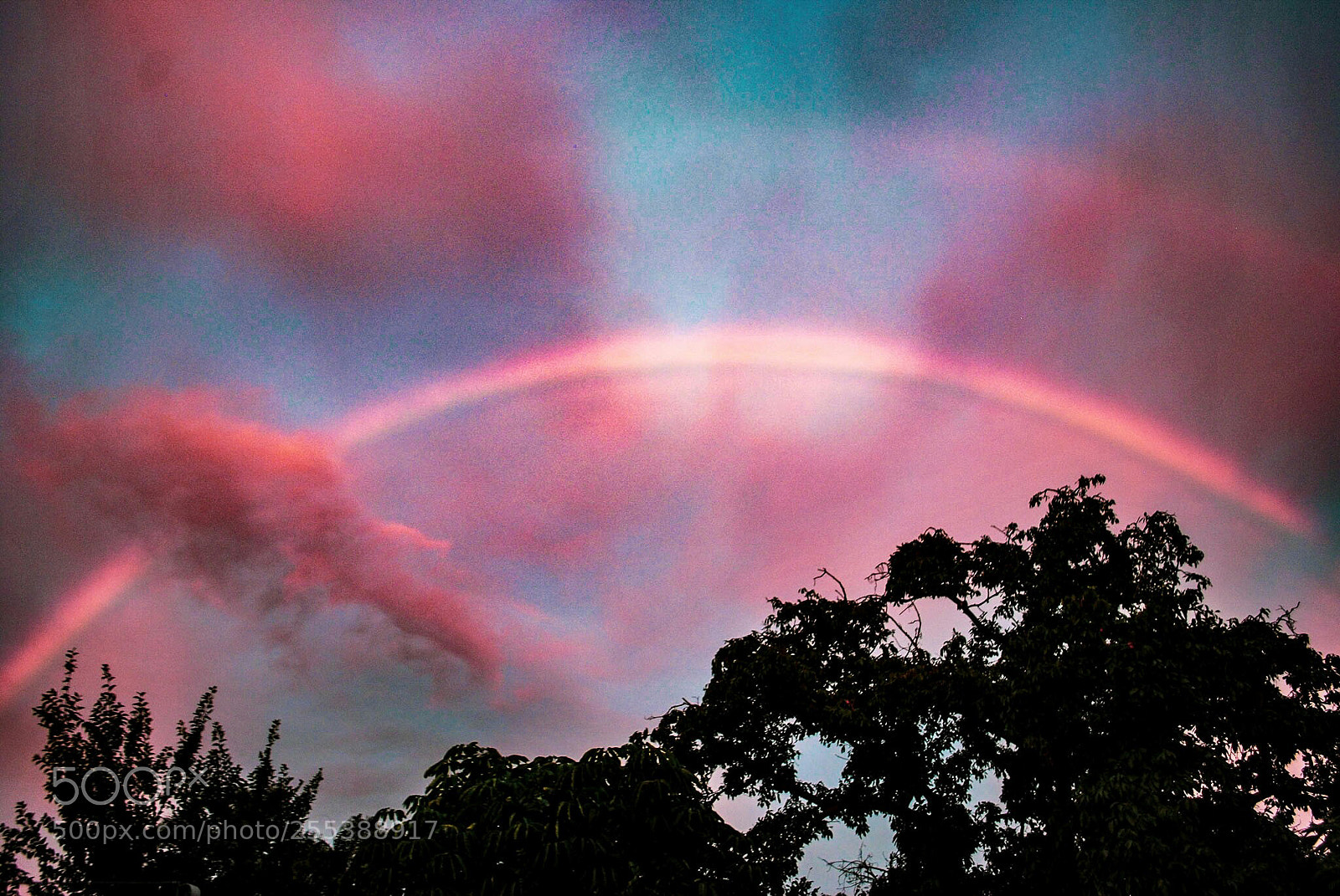 Nikon D60 sample photo. Rainbow. photography