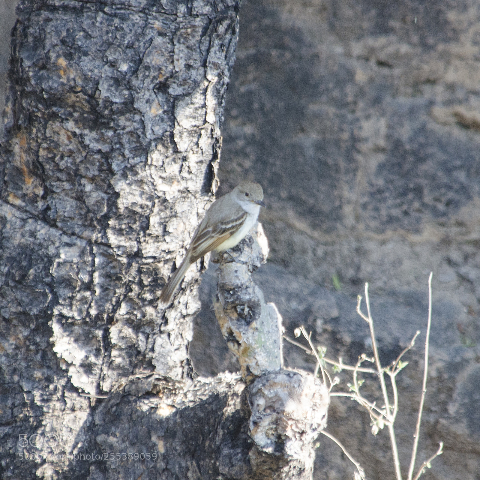 Nikon D7000 sample photo. Untitled photography