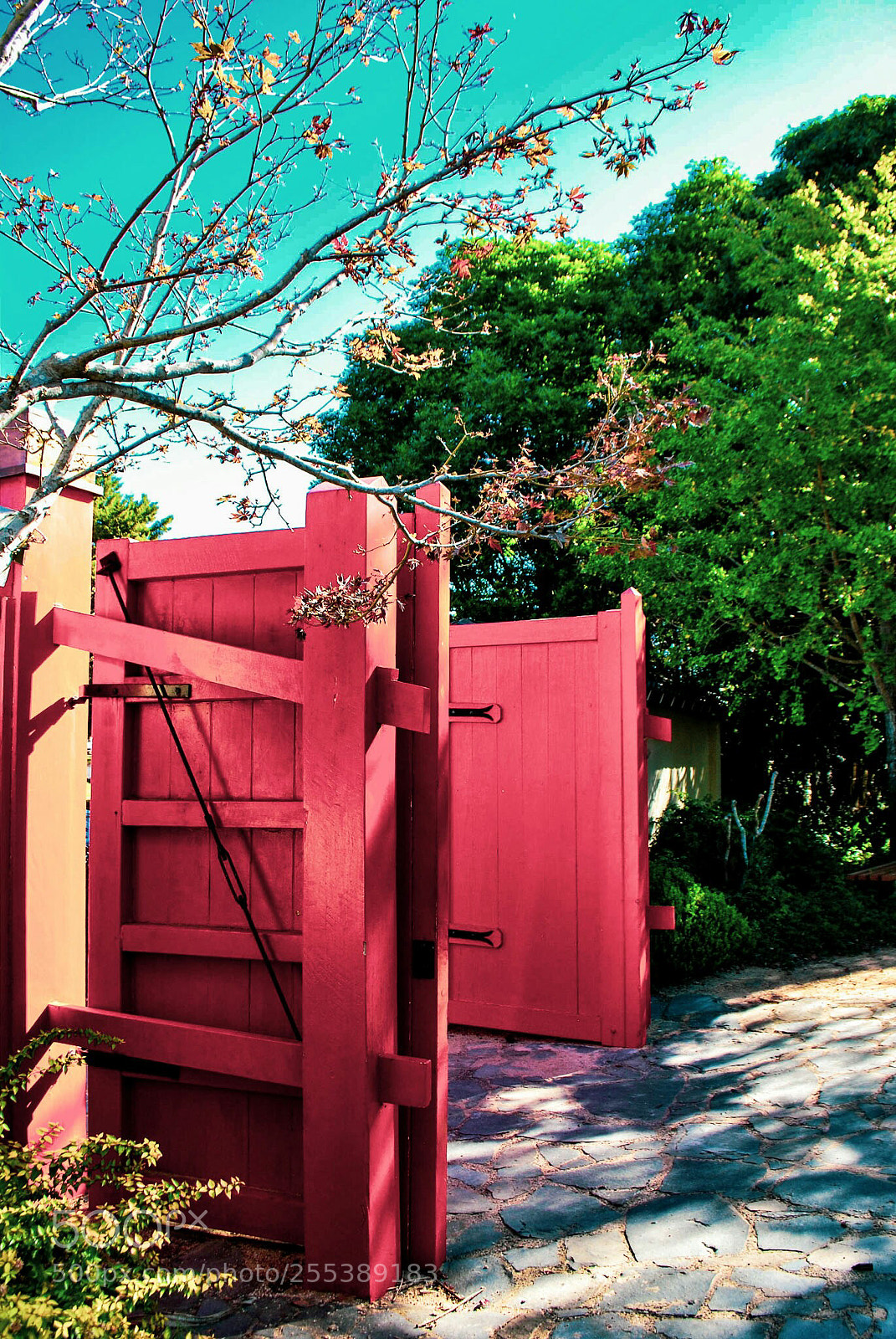 Nikon D60 sample photo. Garden gates. photography
