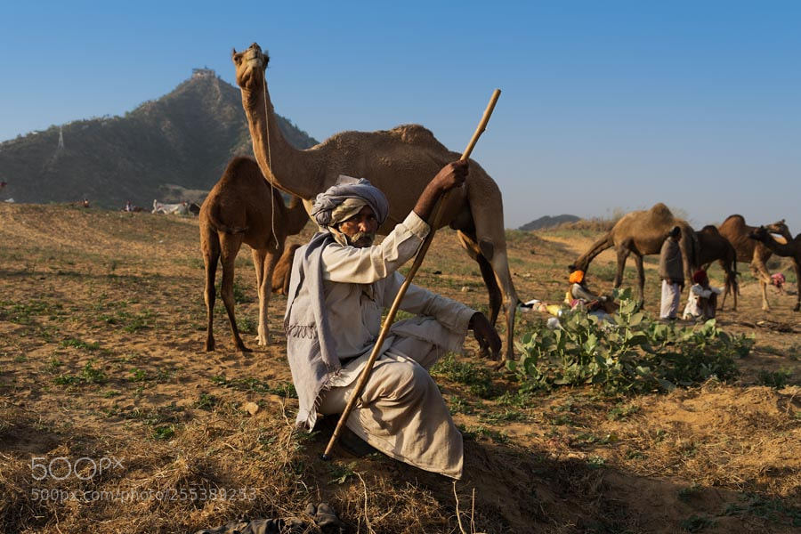 Sony a7 sample photo. Pushkar mela. rajasthan photography