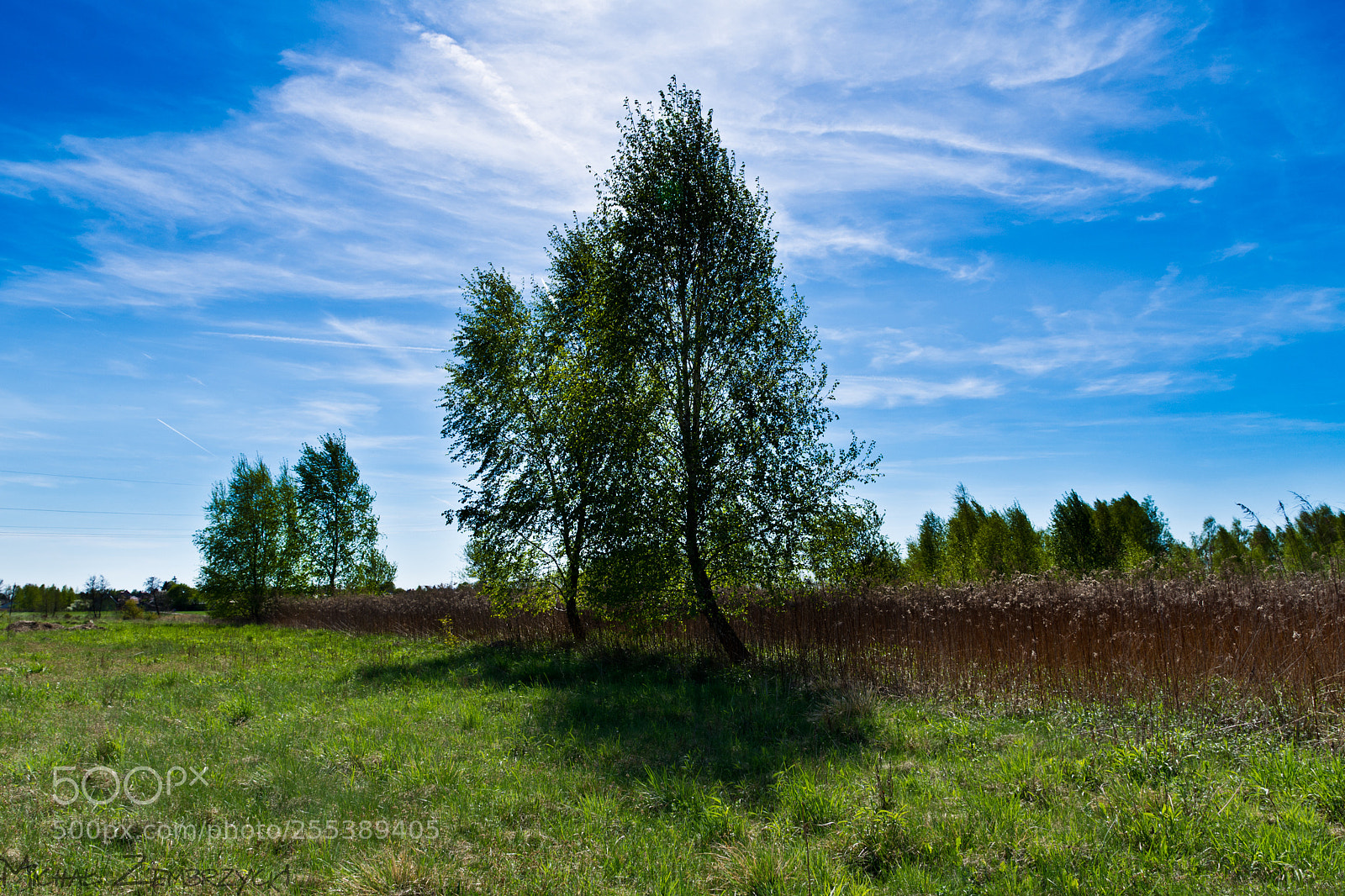 Nikon D7200 sample photo. Toward the sun photography