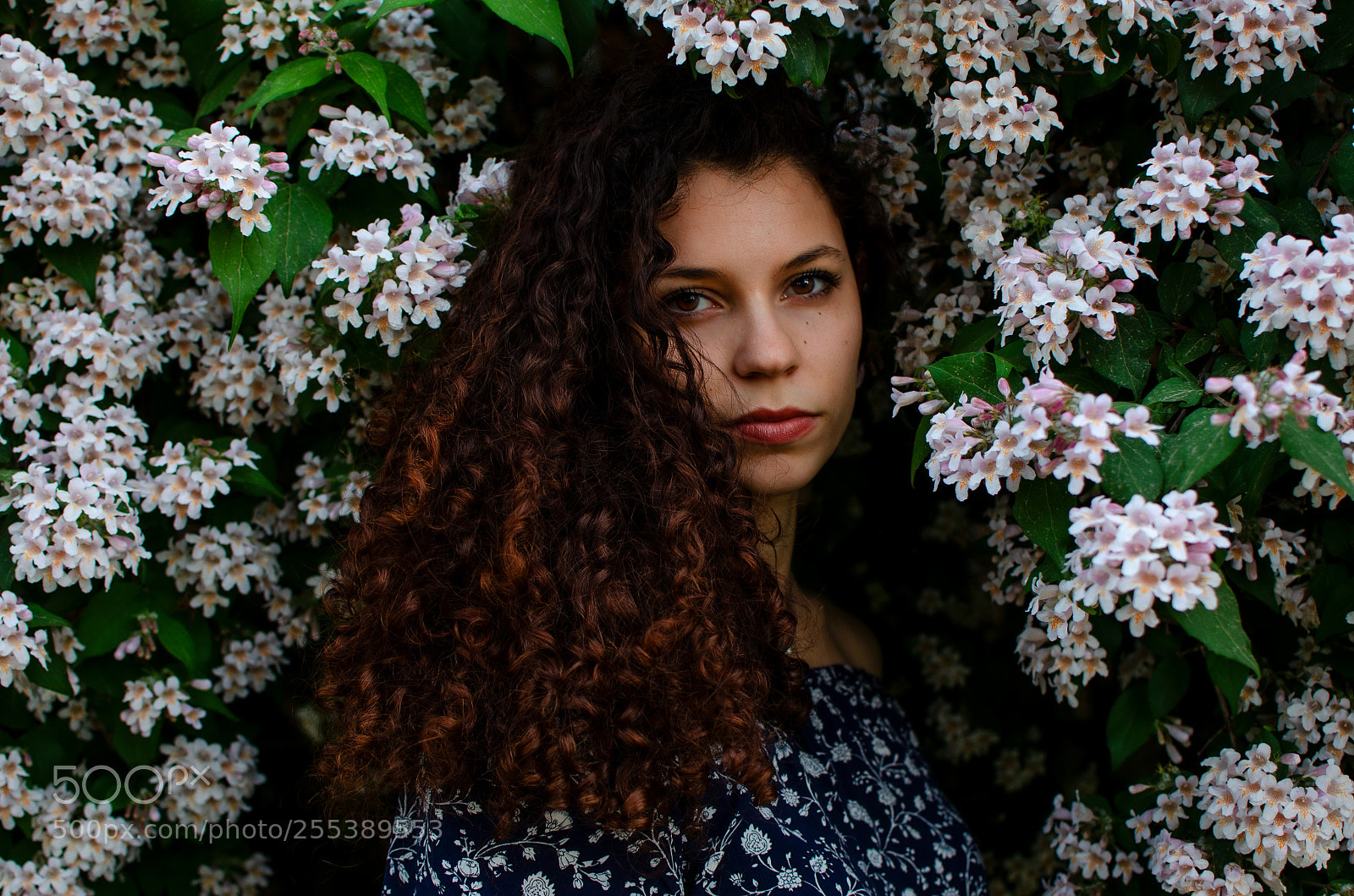 Nikon D5100 sample photo. Lost in flower photography