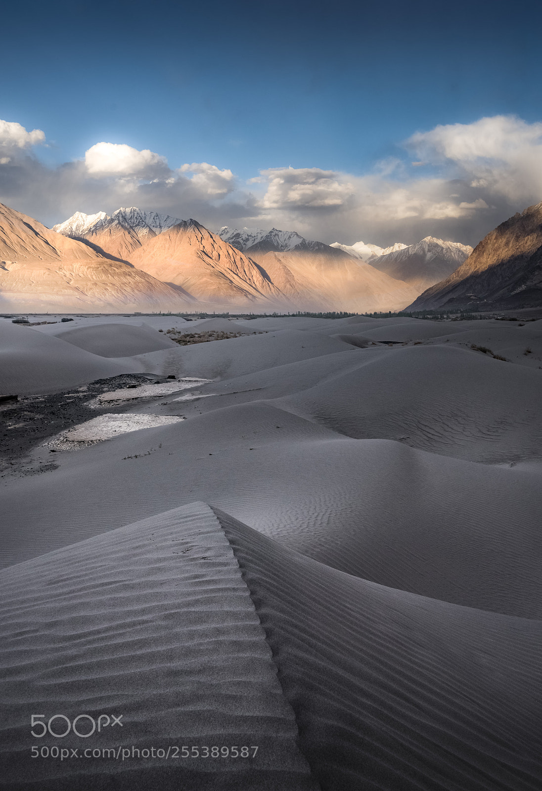 Nikon D610 sample photo. Himalayan desert photography