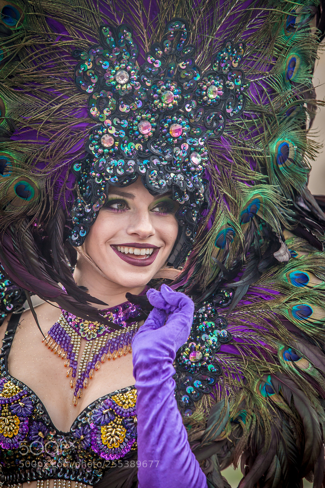 Canon EOS 6D sample photo. The mardi gras peacock photography
