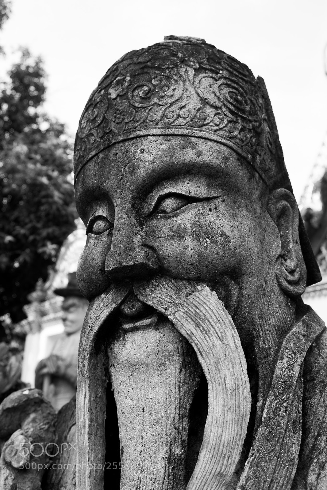Fujifilm X-T20 sample photo. Watchful gaze photography