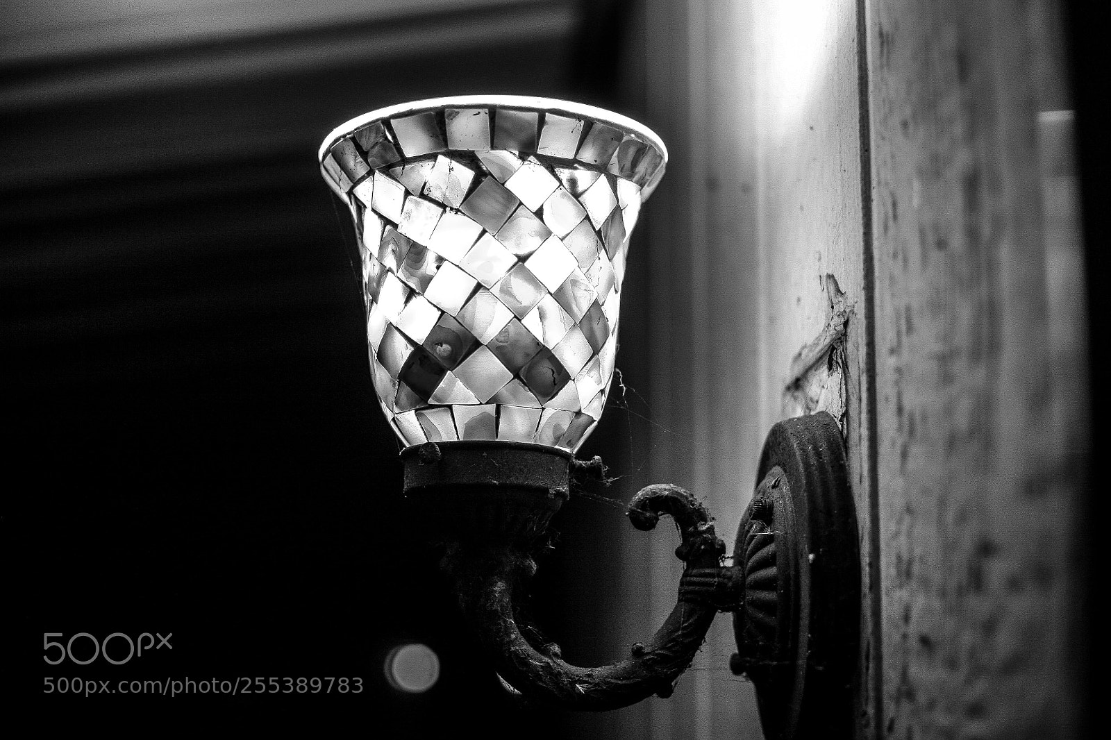 Canon EOS 5D sample photo. A light in the photography
