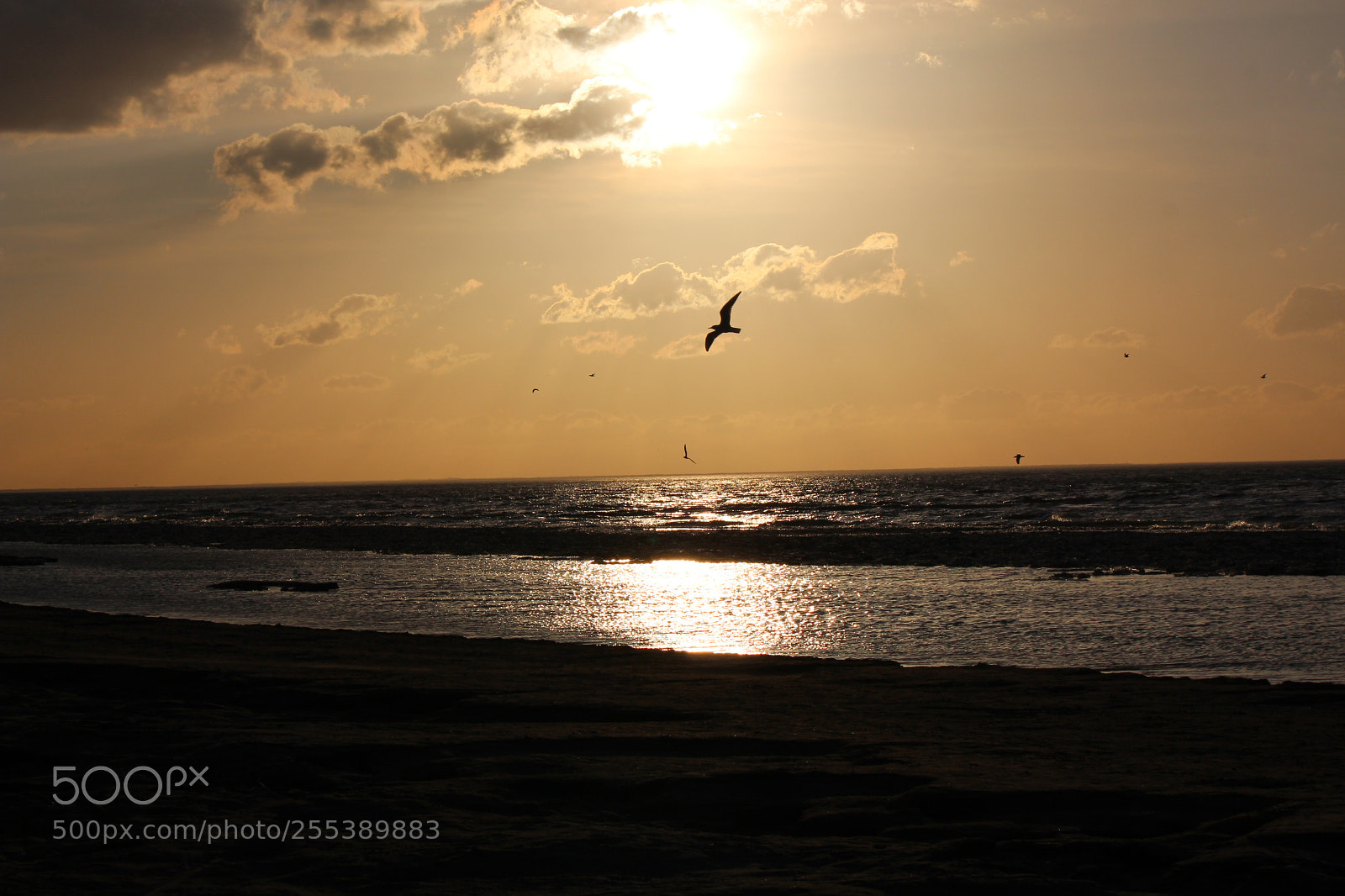 Canon EOS 650D (EOS Rebel T4i / EOS Kiss X6i) sample photo. Golden hour photography
