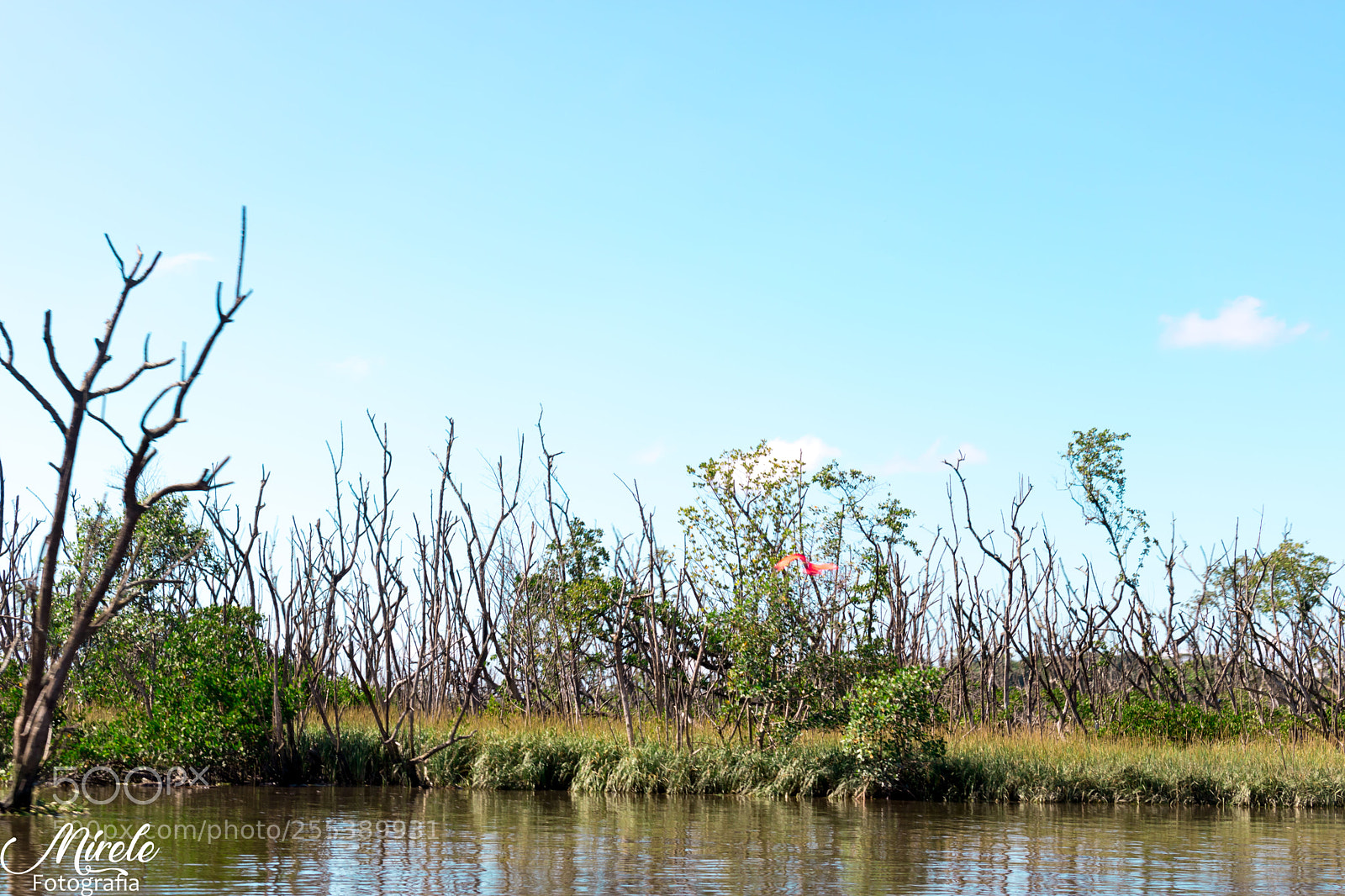 Canon EOS 750D (EOS Rebel T6i / EOS Kiss X8i) sample photo. Paisagens bahia da babitonga photography