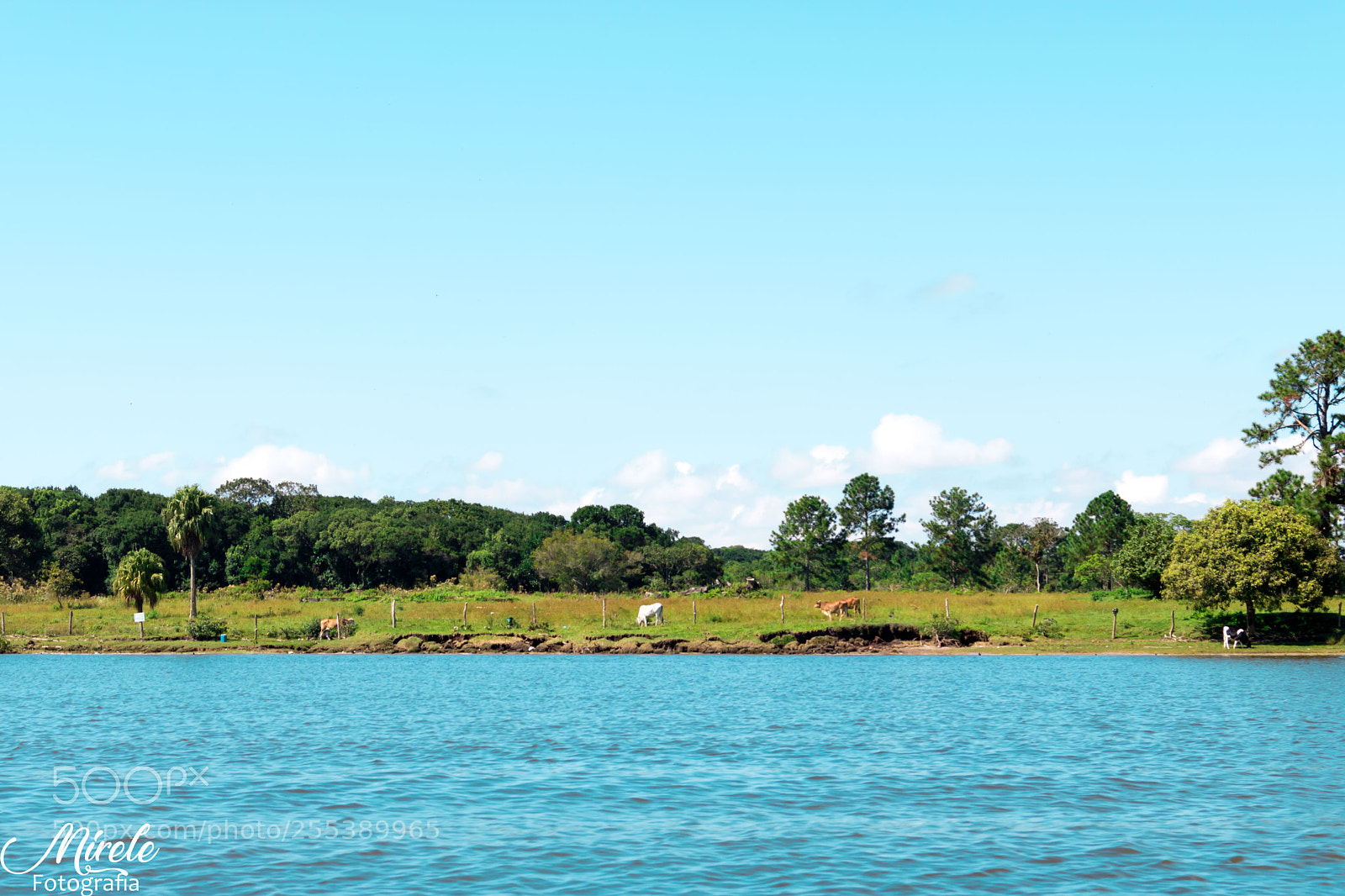 Canon EOS 750D (EOS Rebel T6i / EOS Kiss X8i) sample photo. Paisagens bahia da babitonga photography