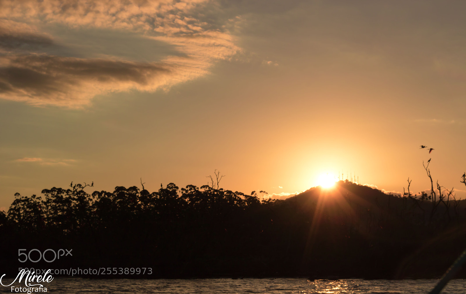 Canon EOS 750D (EOS Rebel T6i / EOS Kiss X8i) sample photo. Paisagens bahia da babitonga photography