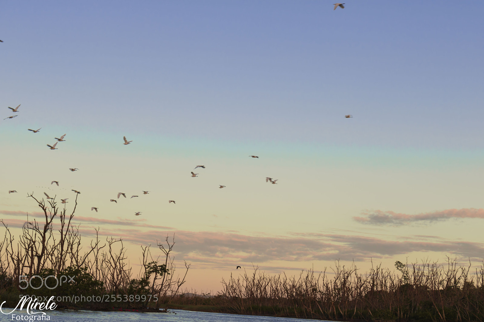Canon EOS 750D (EOS Rebel T6i / EOS Kiss X8i) sample photo. Paisagens bahia da babitonga photography