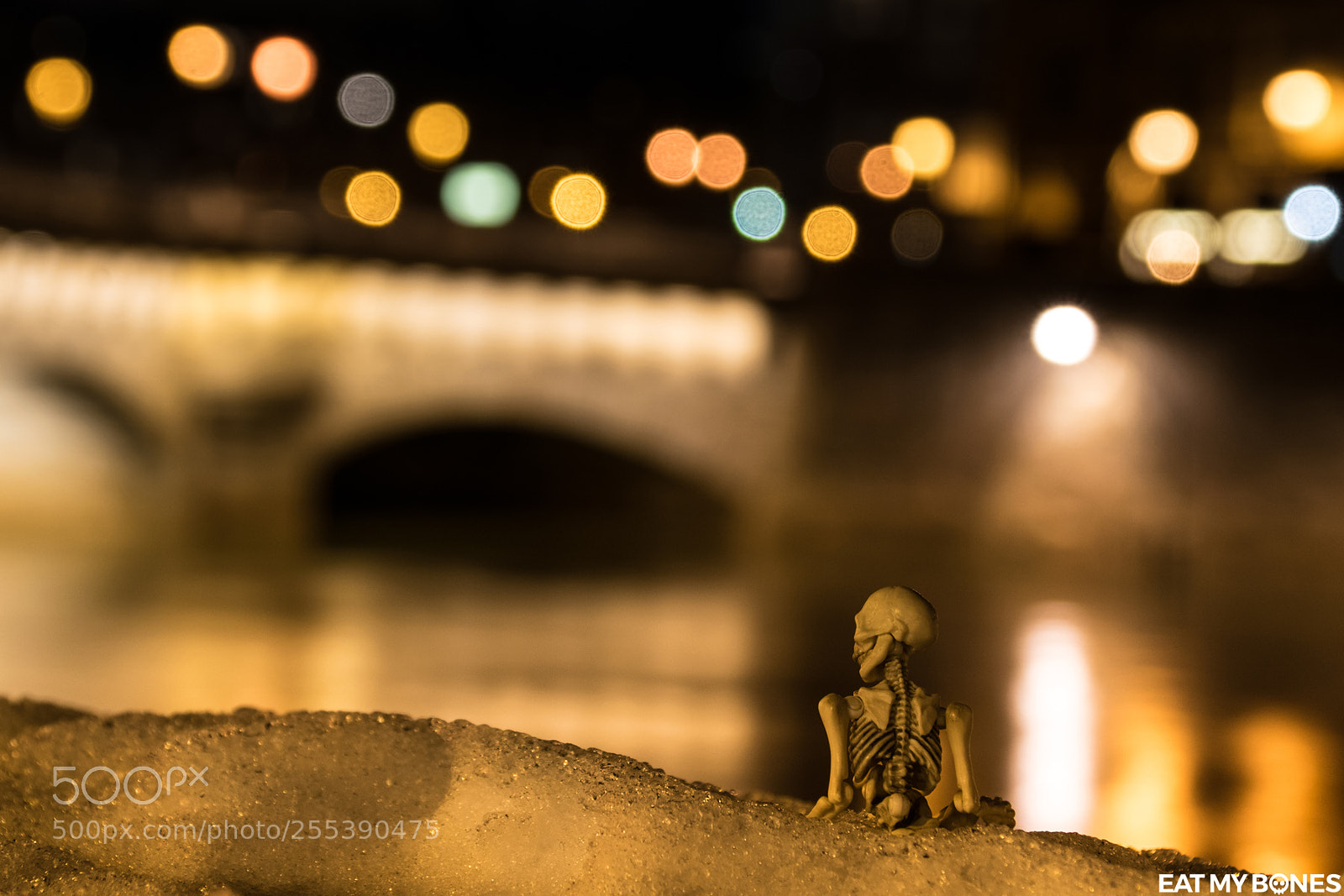 Nikon D5300 sample photo. Paris by night poseskeleton photography